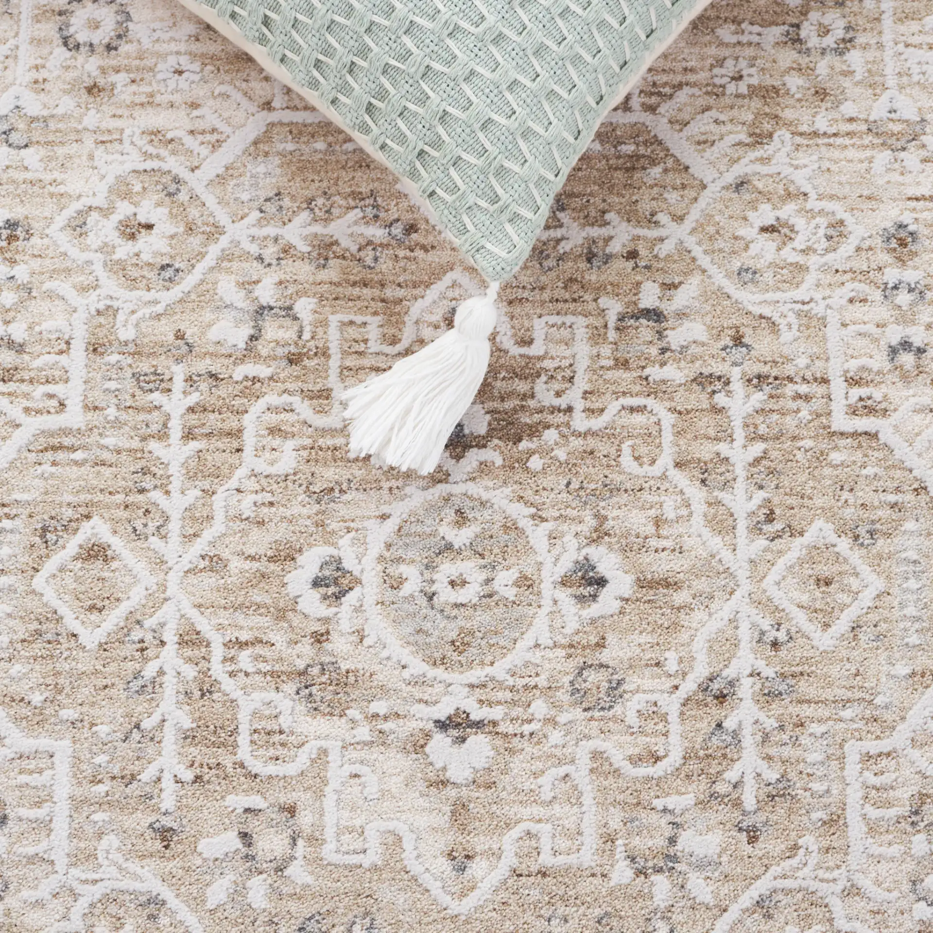 Finley Medallion Bordered Rug in Beige / Ivory in a styled room