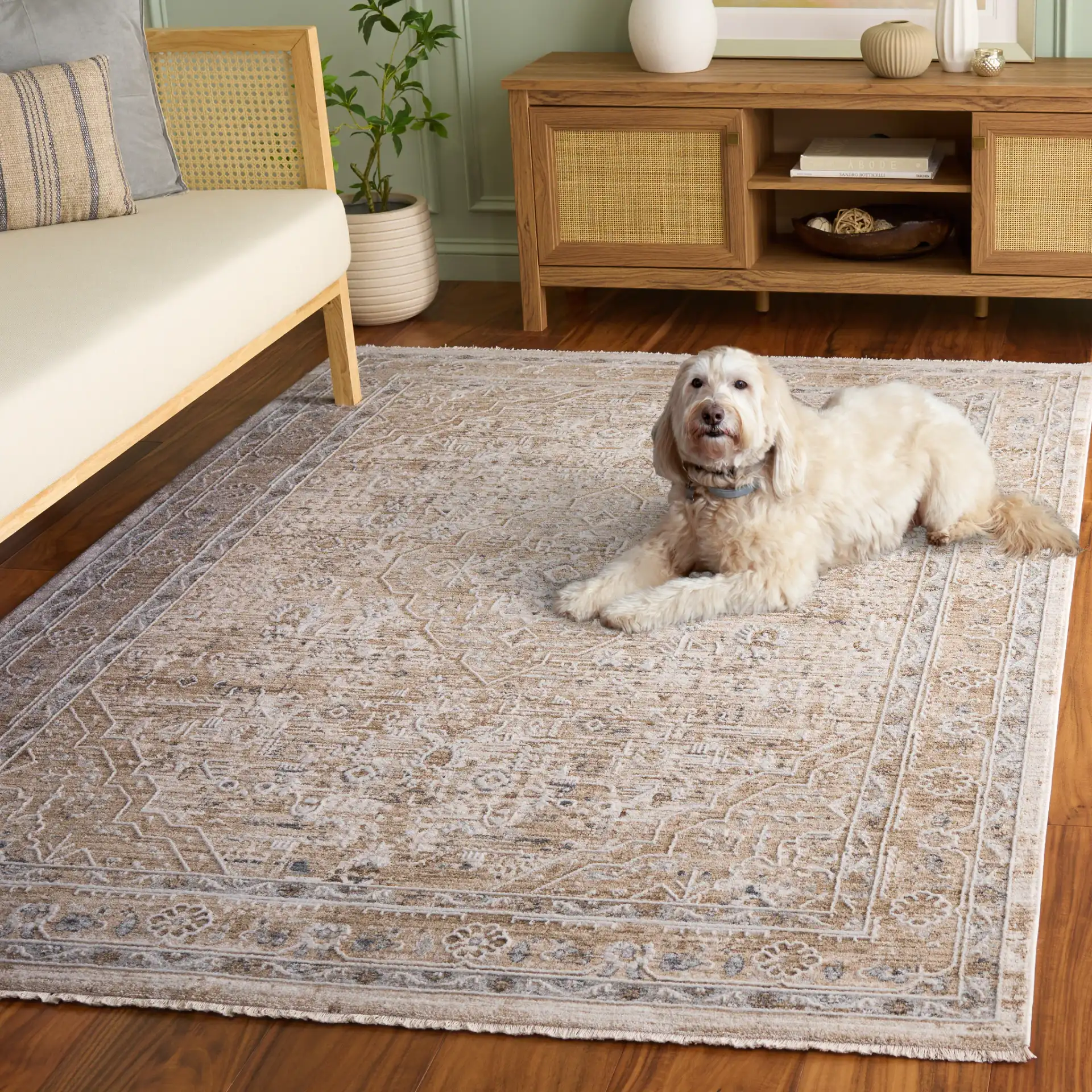 Finley Medallion Bordered Rug in Beige / Ivory in a styled room