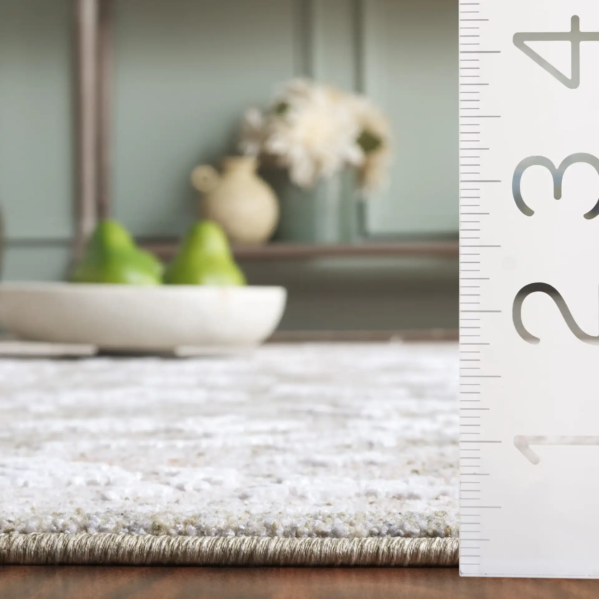 Finley Botanical Border Rug in Green / Beige in a styled room