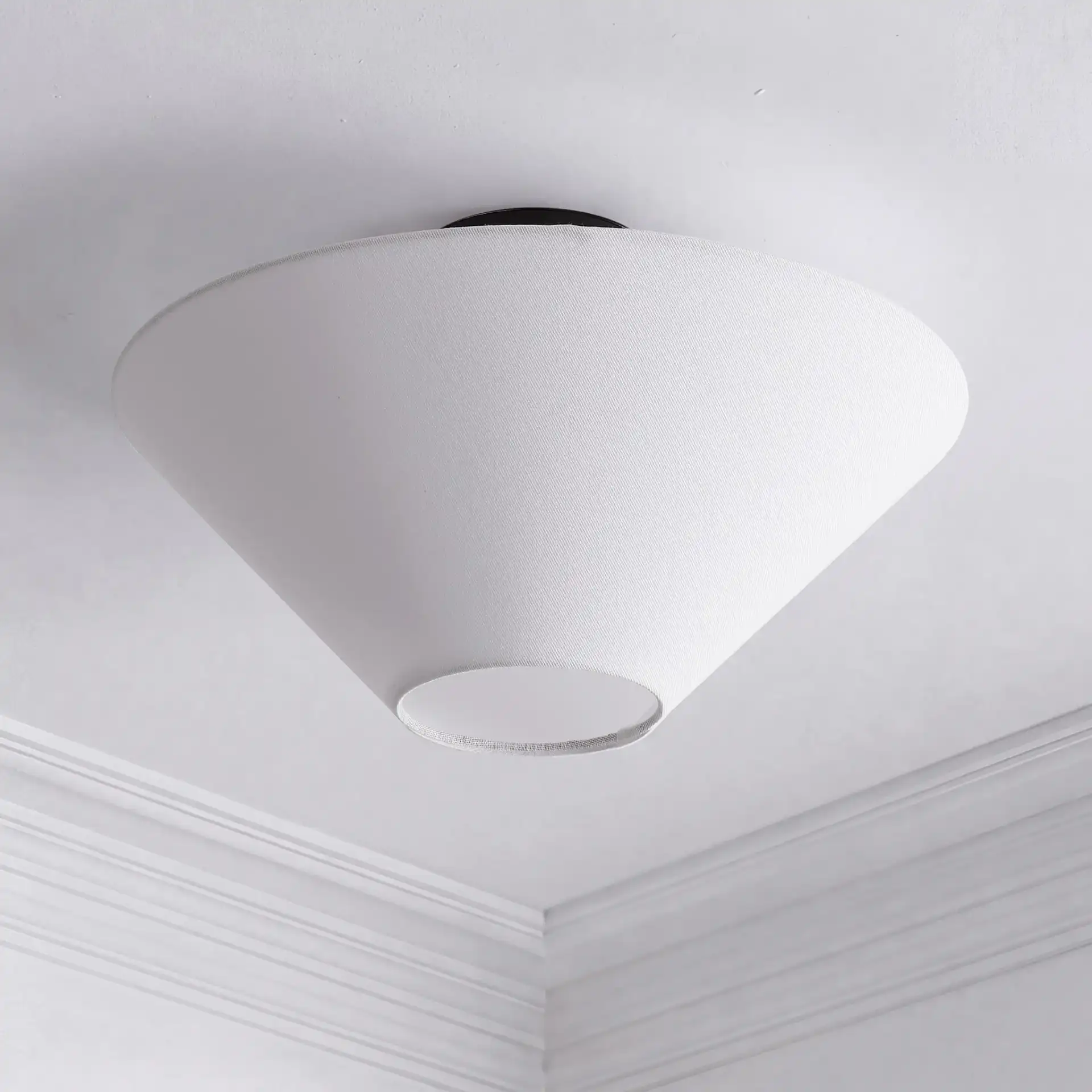 Oisten 18" Flush Mount Light in White / Black, detail view