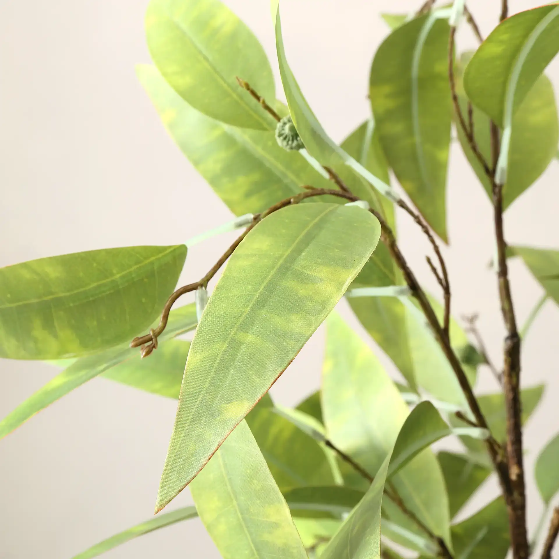 Faux 49" Potted Eucalyptus Tree in Pot / White / Gray in a styled room