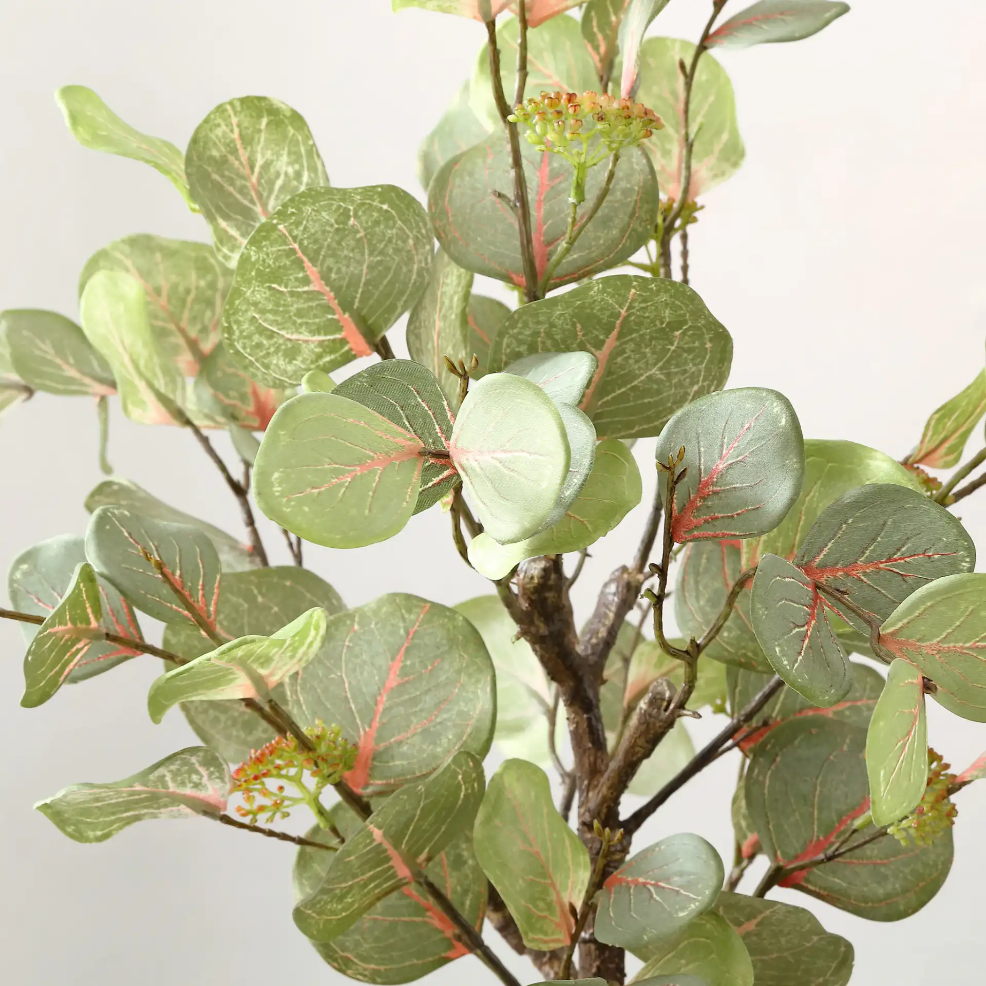 Faux 34" Potted Eucalyptus Tree in Pot / White in a styled room