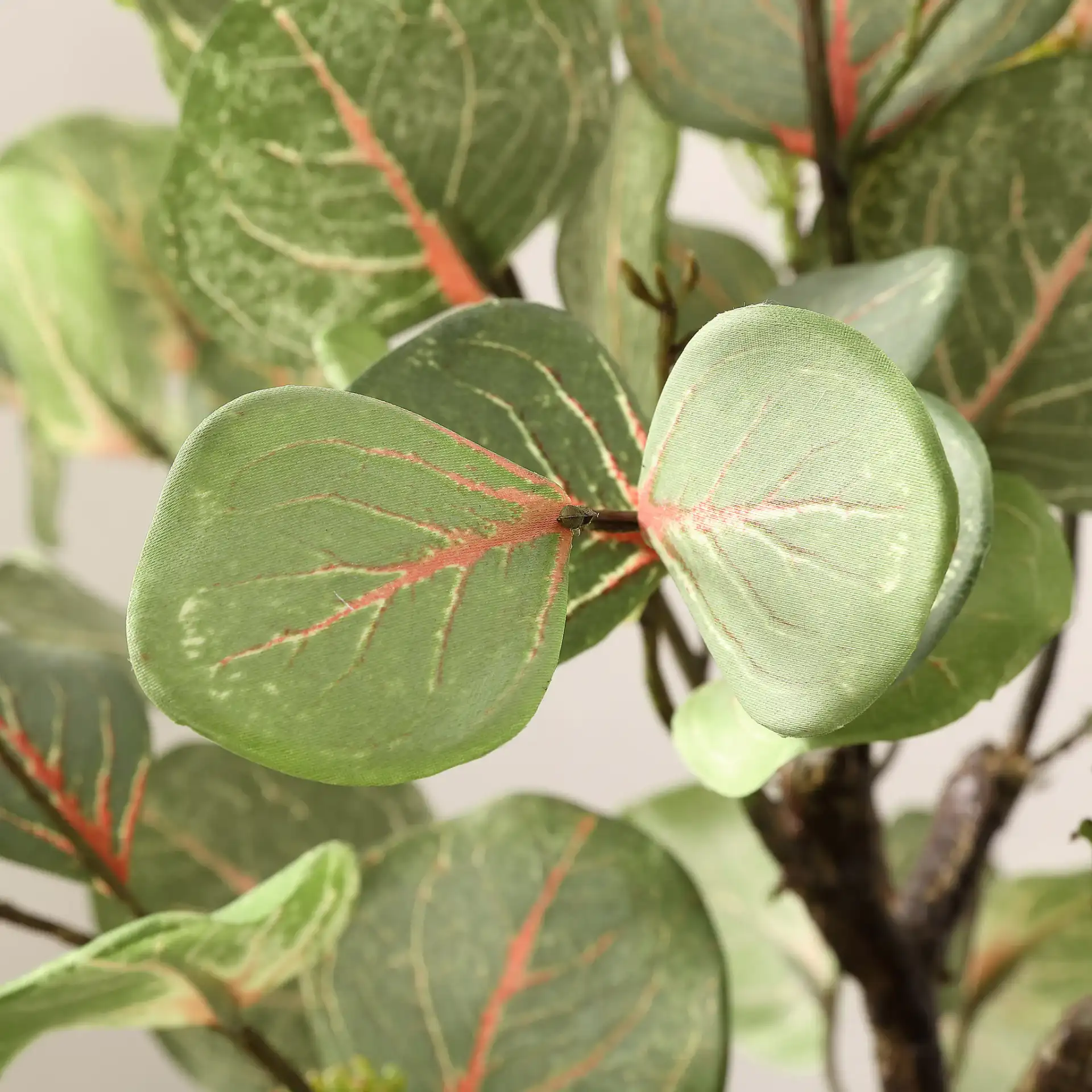 Faux 34" Potted Eucalyptus Tree in Pot / White in a styled room