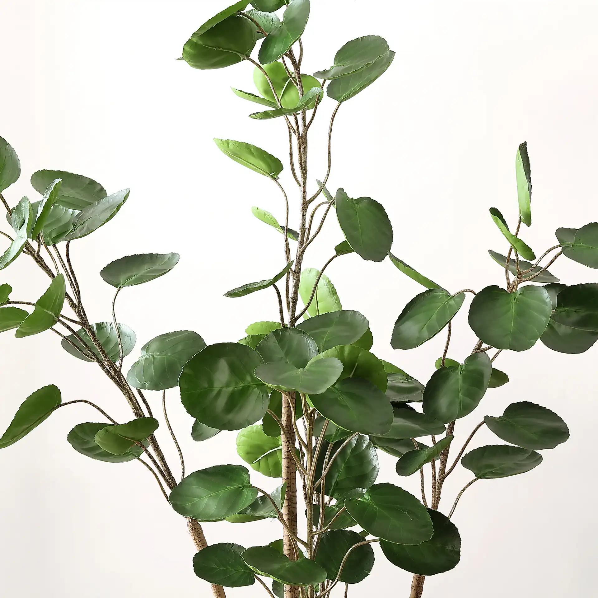Faux 59" Potted Polyscias Tree in Pot / Black in a styled room