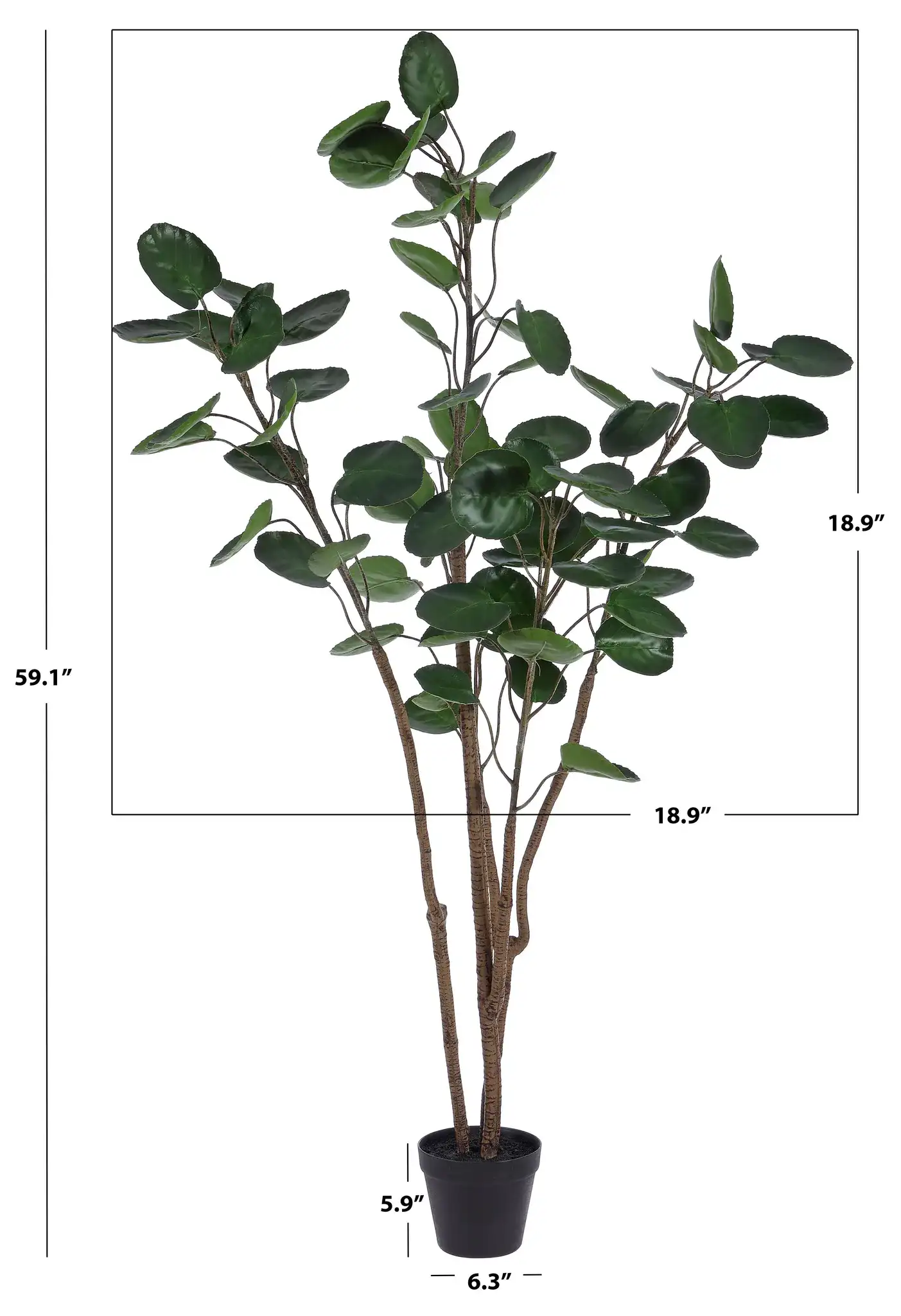 Faux 59" Potted Polyscias Tree in Pot / Black, detail view