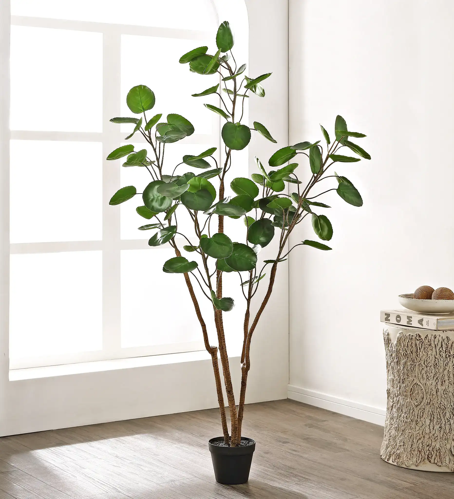 Faux 59" Potted Polyscias Tree in Pot / Black in a styled room