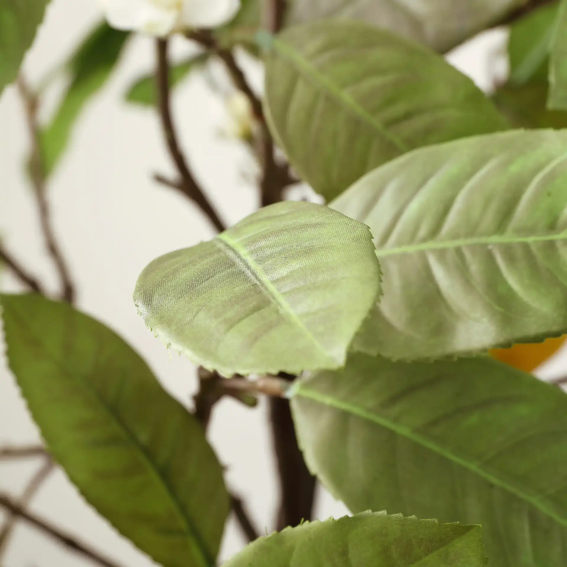Faux 36" Potted Lemon Tree in Pot / White in a styled room
