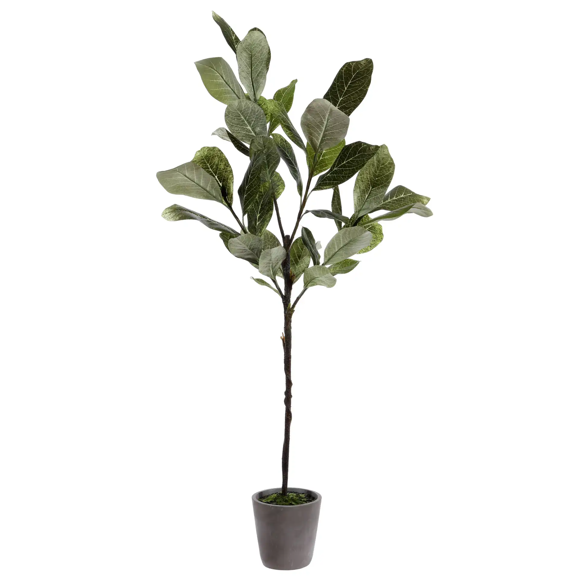 Faux 51" Potted Tree in Pot / Gray