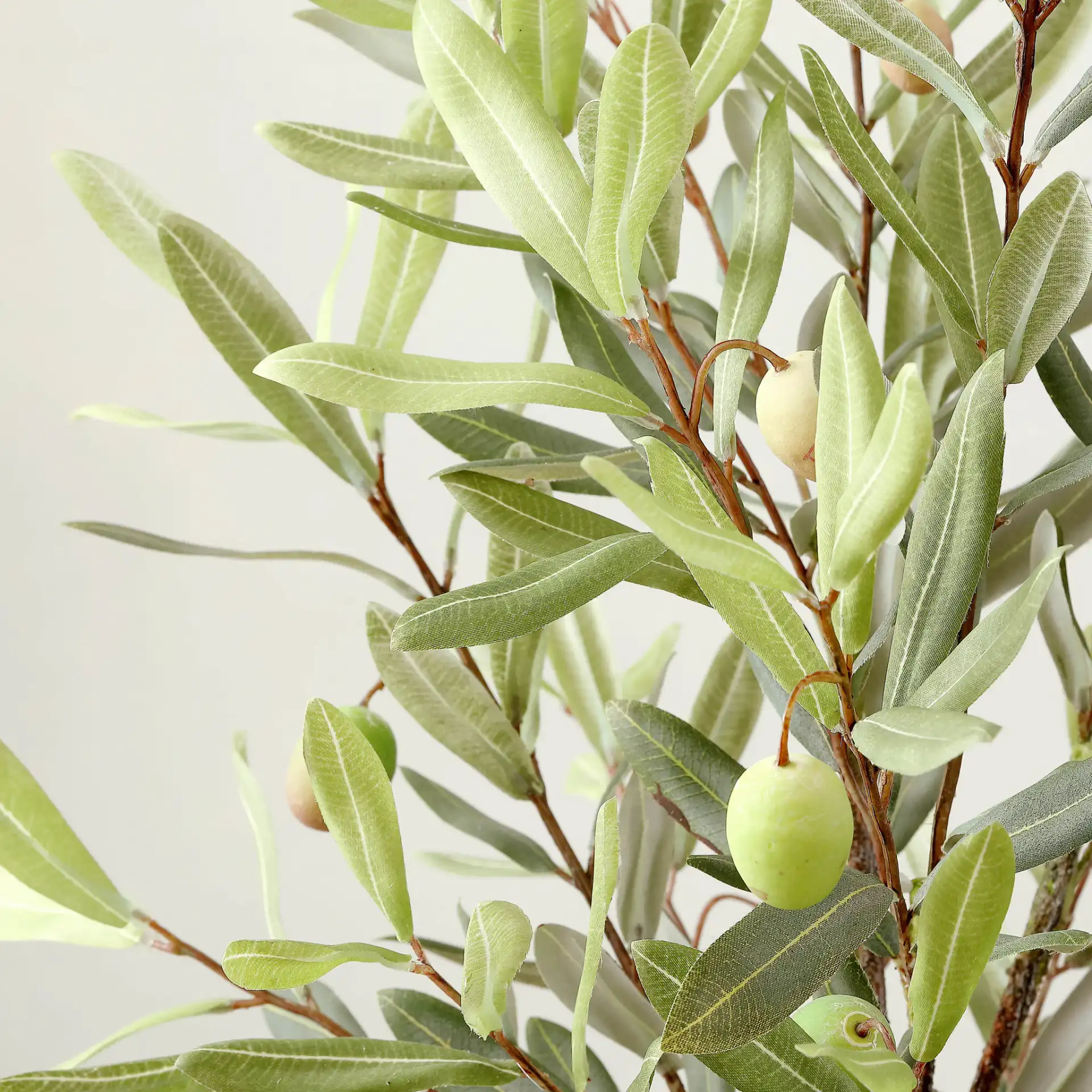 Faux 36" Potted Olive Tree in Pot / White / Gray in a styled room