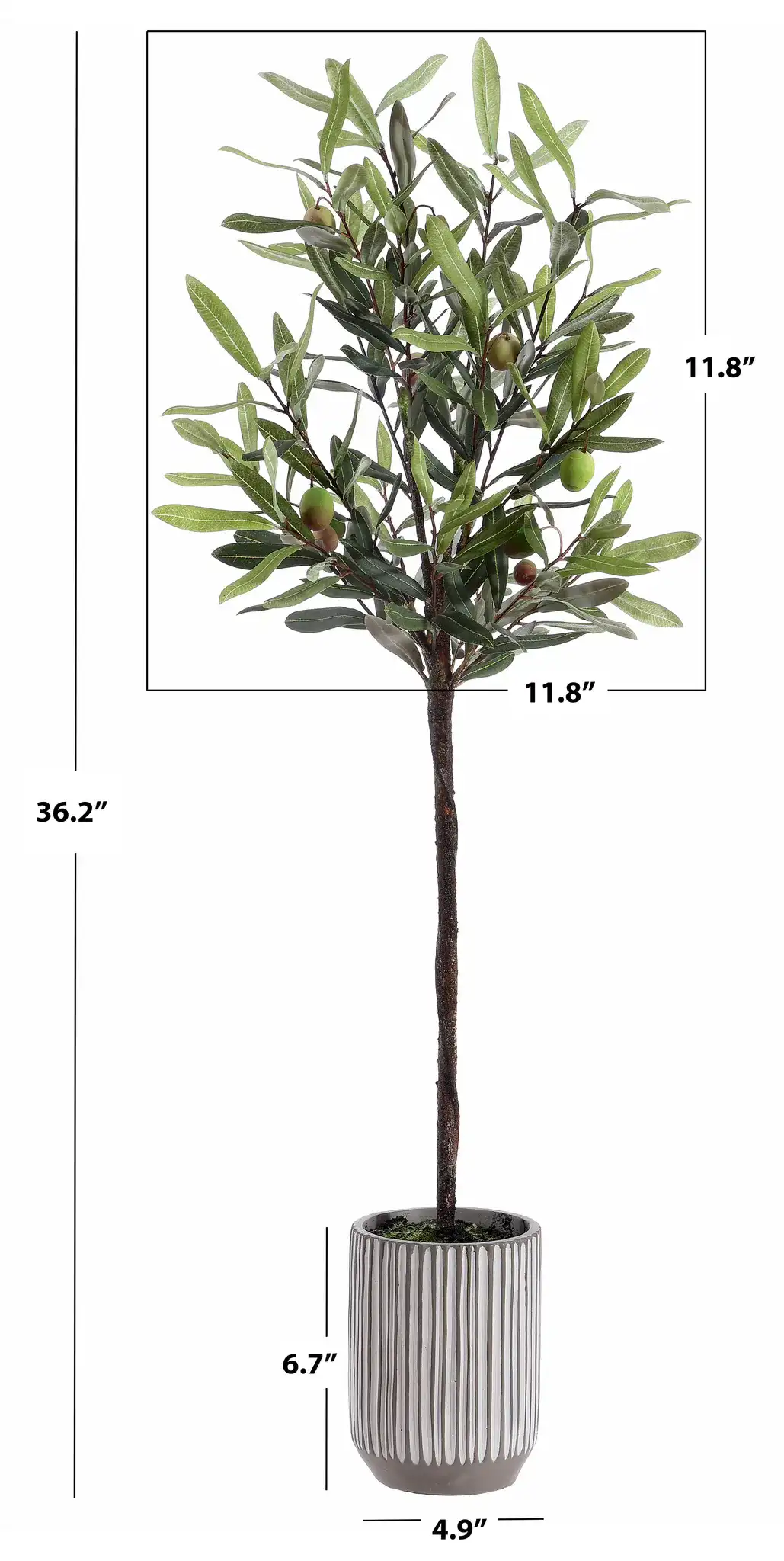 Faux 36" Potted Olive Tree in Pot / White / Gray, detail view