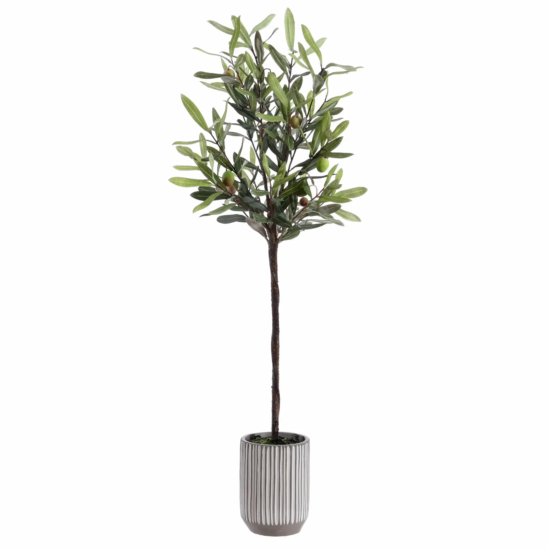 Faux 36" Potted Olive Tree in Pot / White / Gray