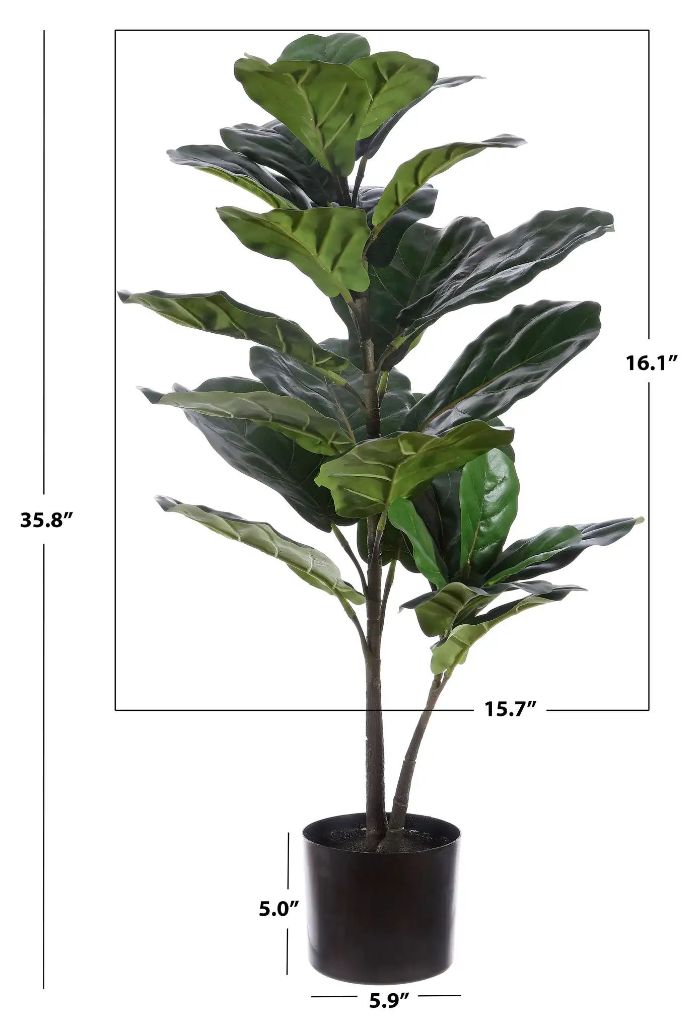 Faux 36" Potted F.Lyrata Tree in Pot / Black, detail view