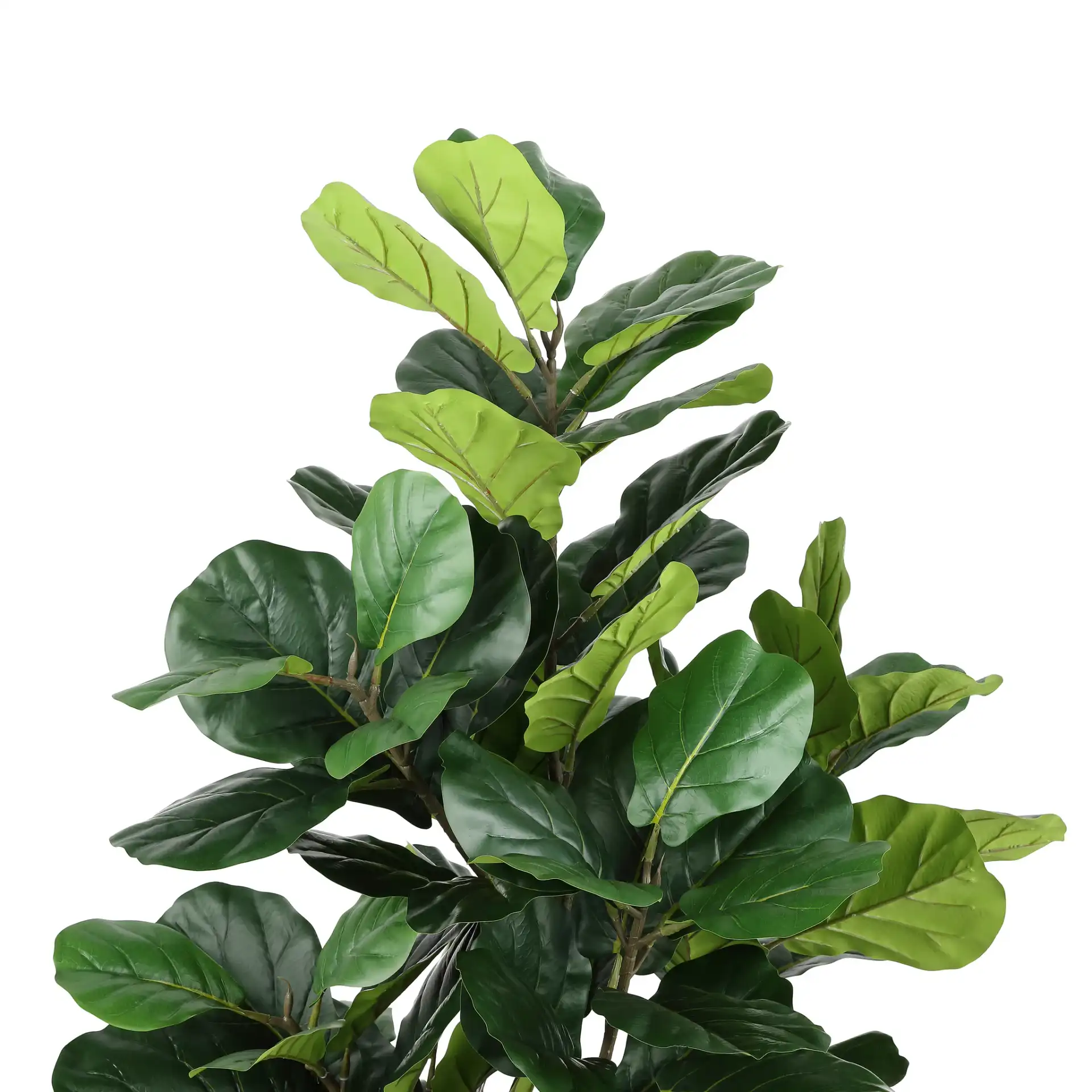 Faux 50" Potted Fig Tree in Green in a styled room