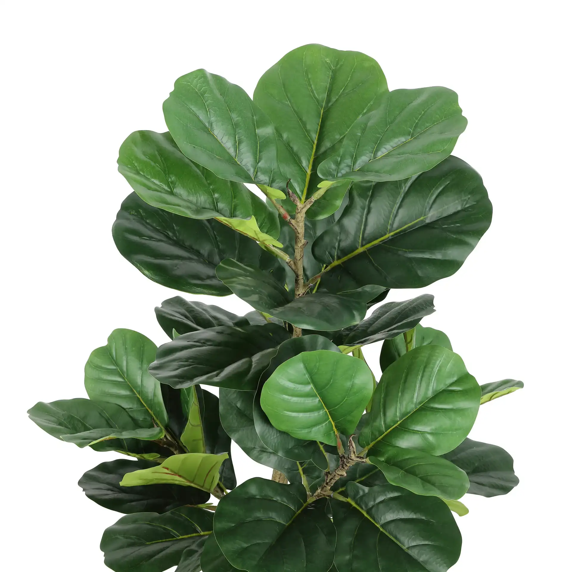 Faux 72" Potted Fig Tree in Green in a styled room