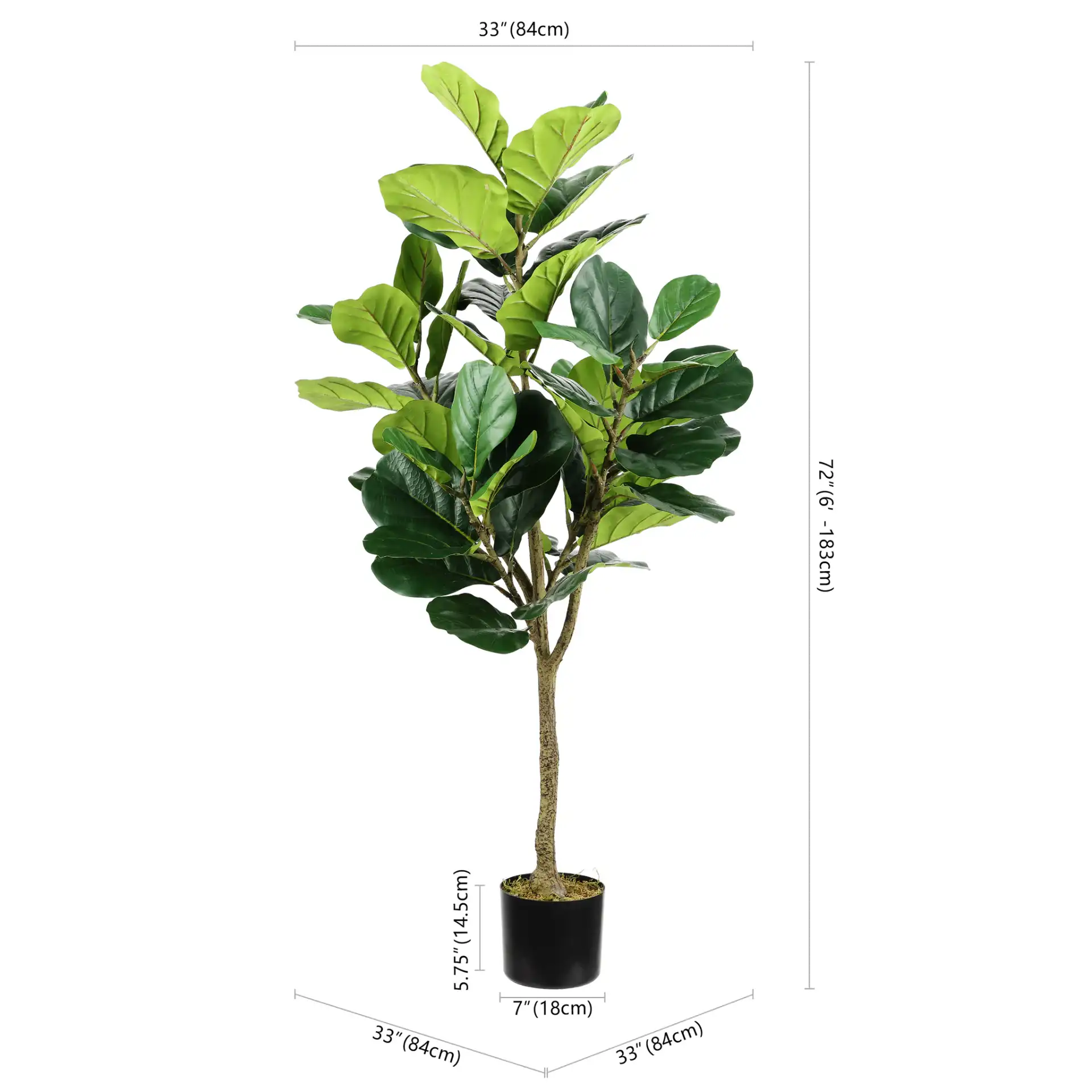 Faux 72" Potted Fig Tree in Green, detail view