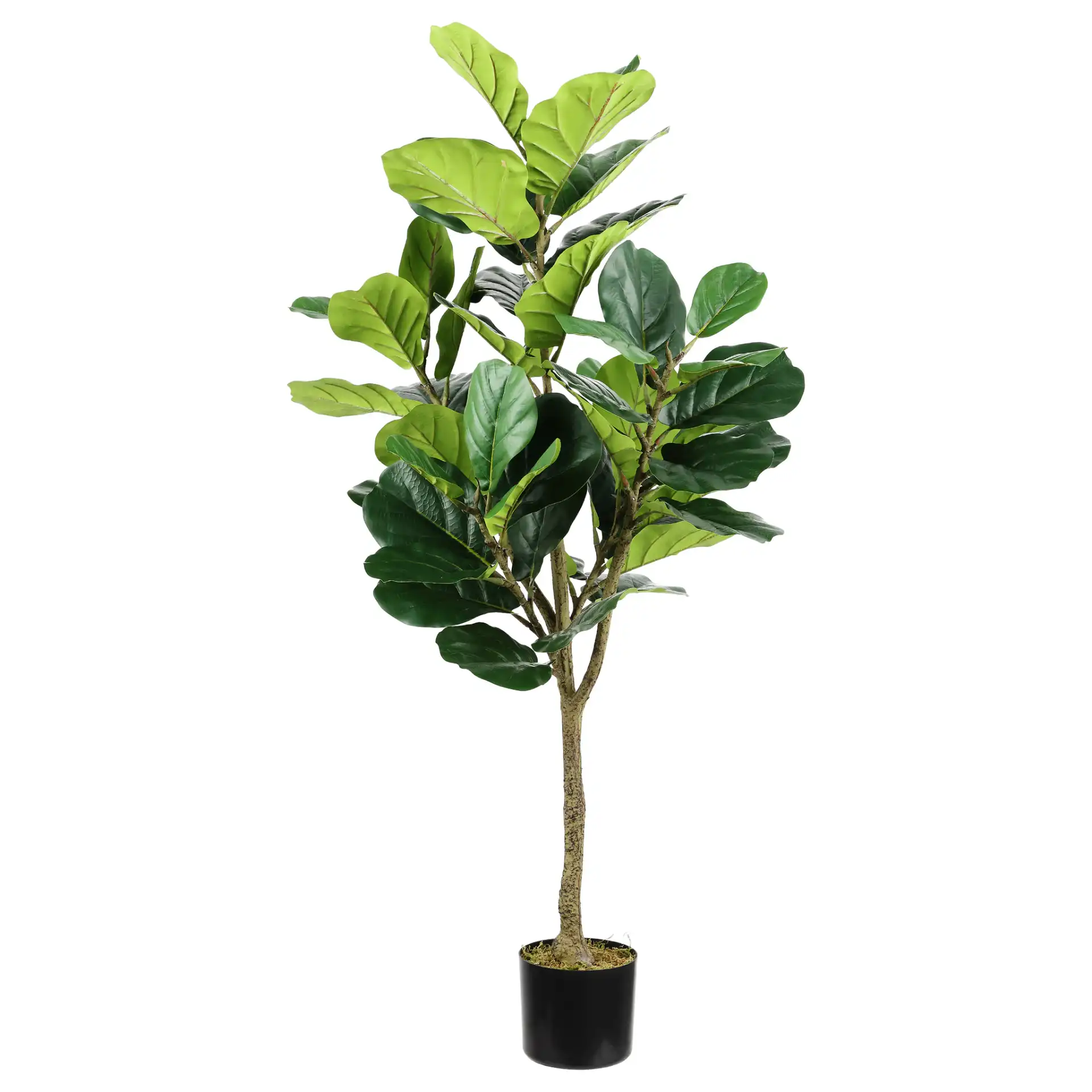 Faux 72" Potted Fig Tree in Green