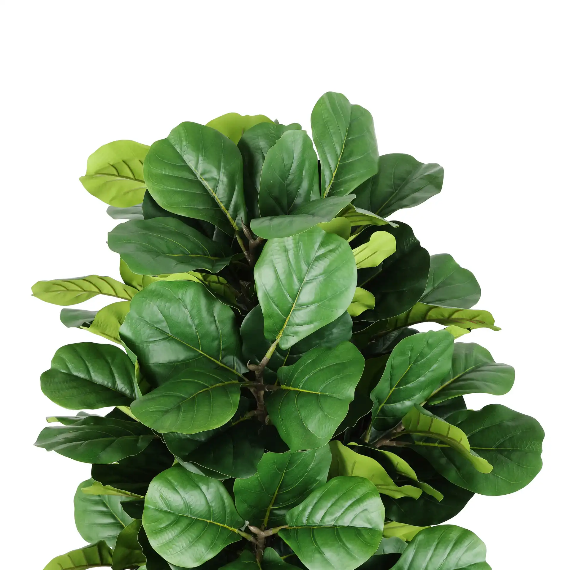 Faux 72" Potted Fig Tree in Green in a styled room