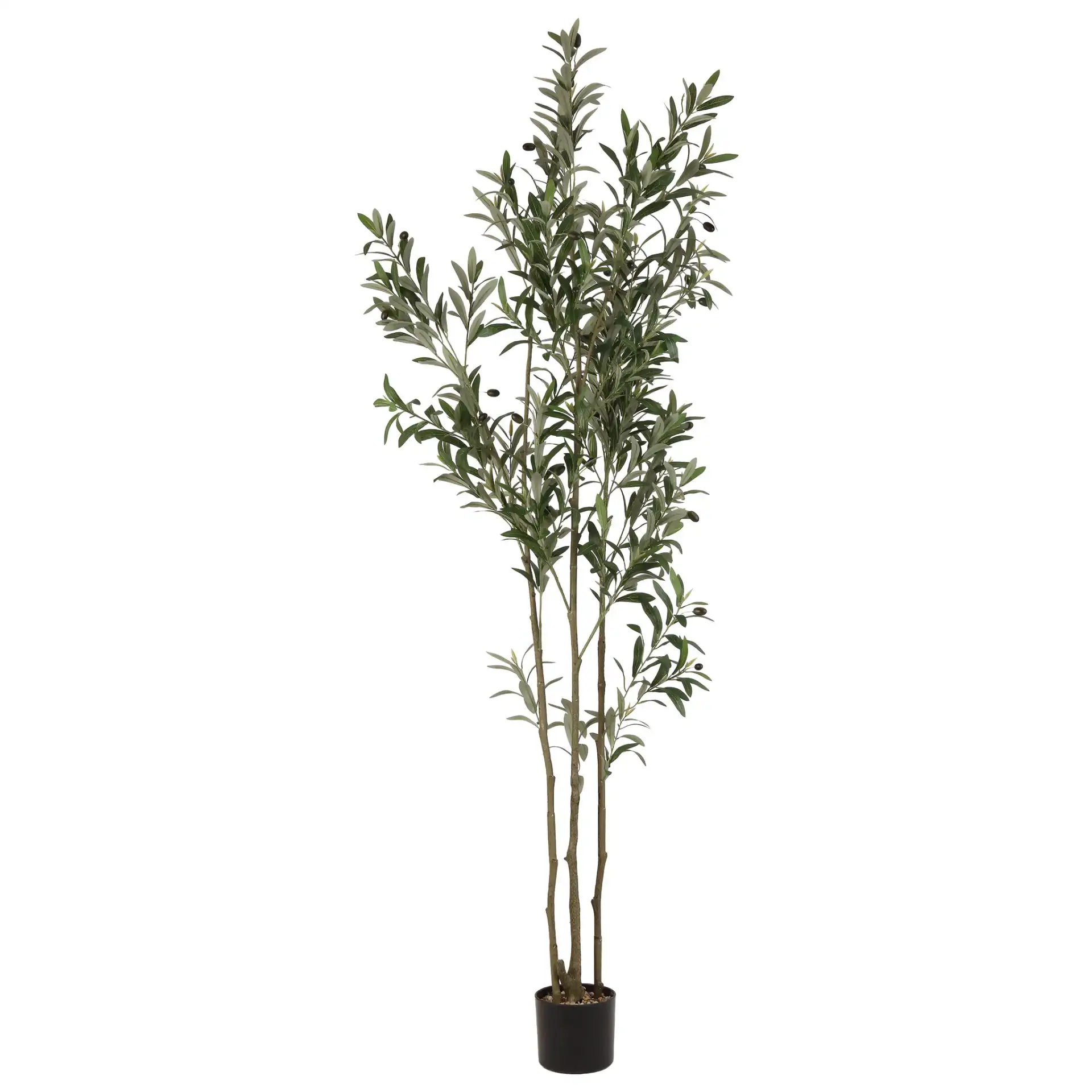 Faux 71'' Olive Tree in Green / Black