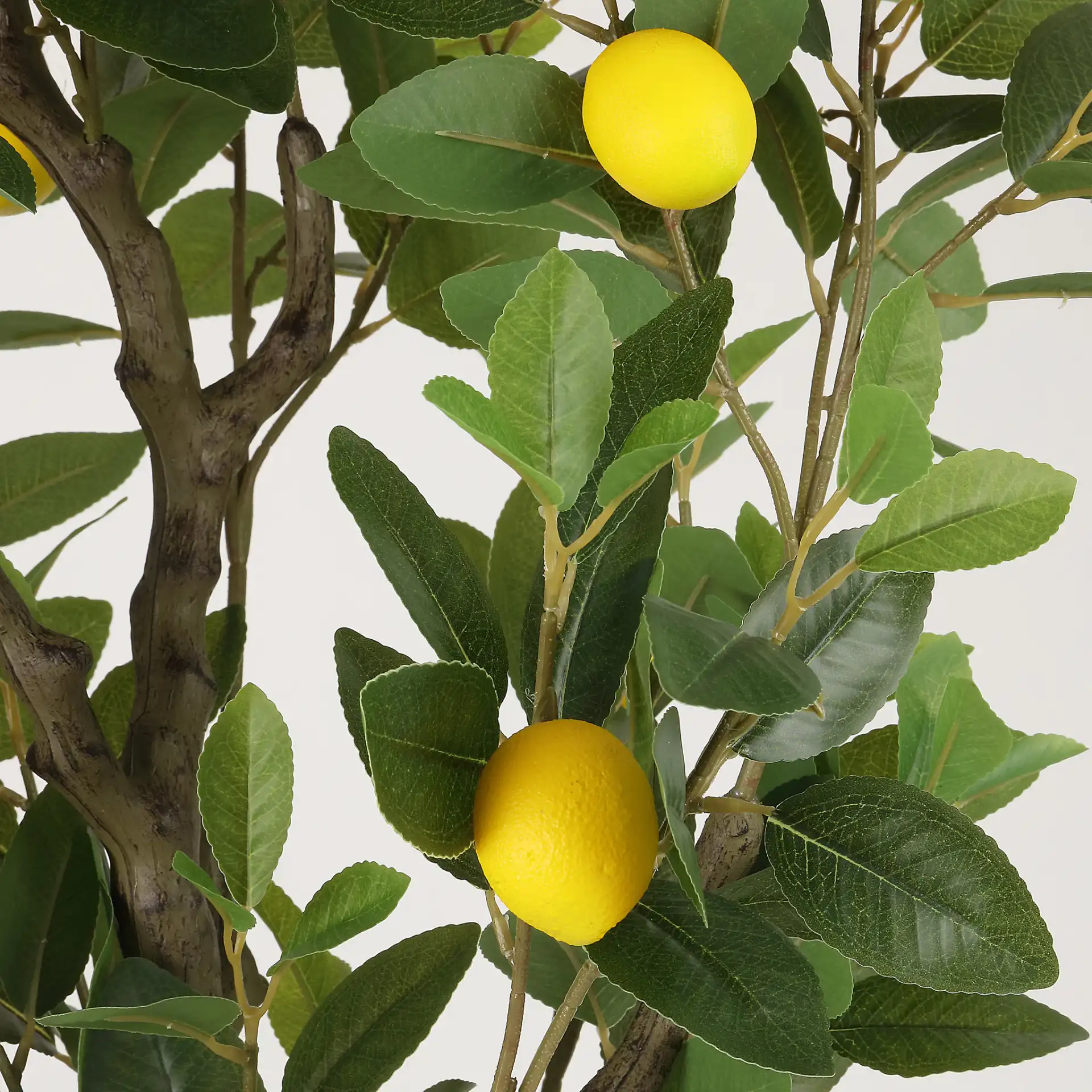 Faux 59'' Lemon Tree in Green / Black in a styled room