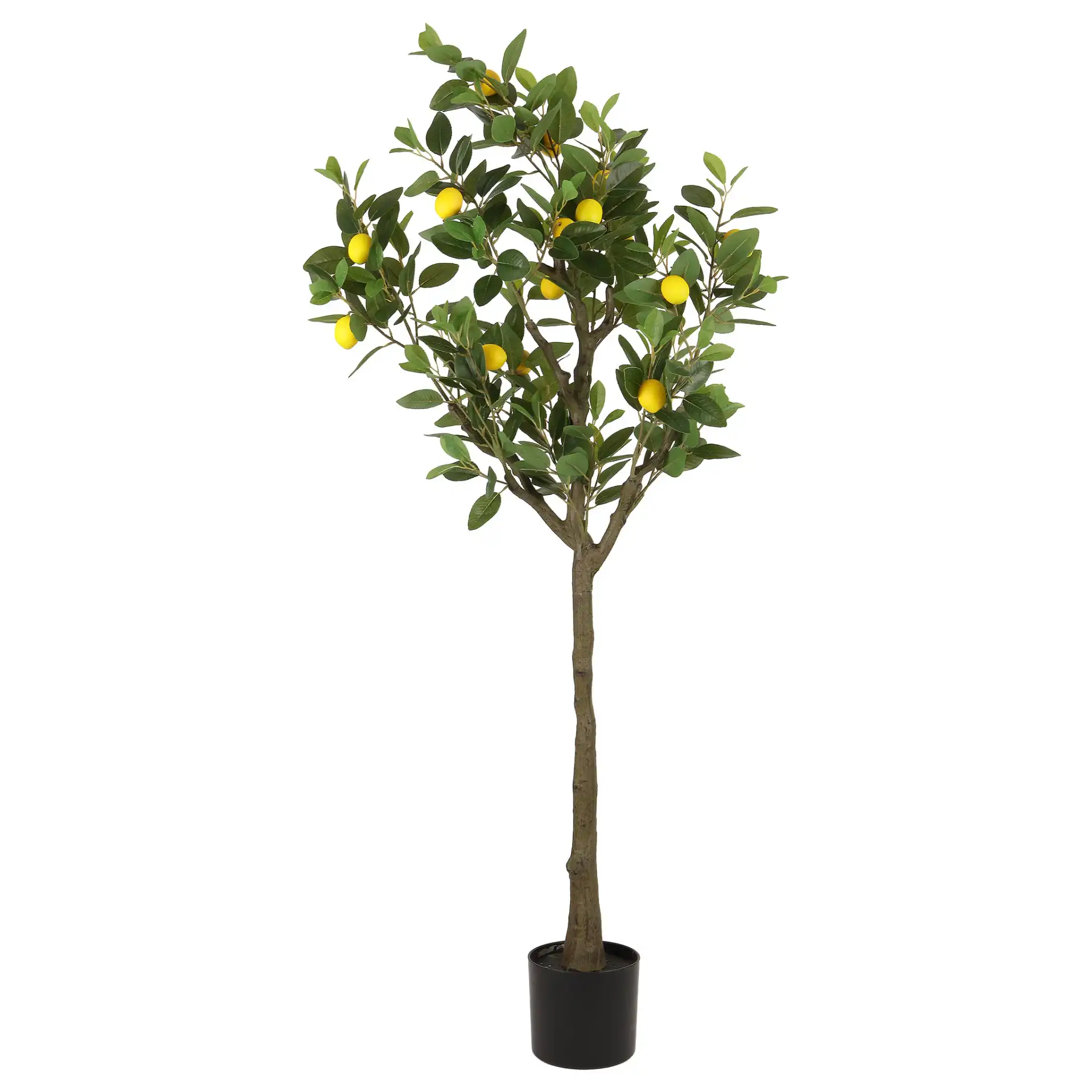 Faux 59'' Lemon Tree in Green / Black