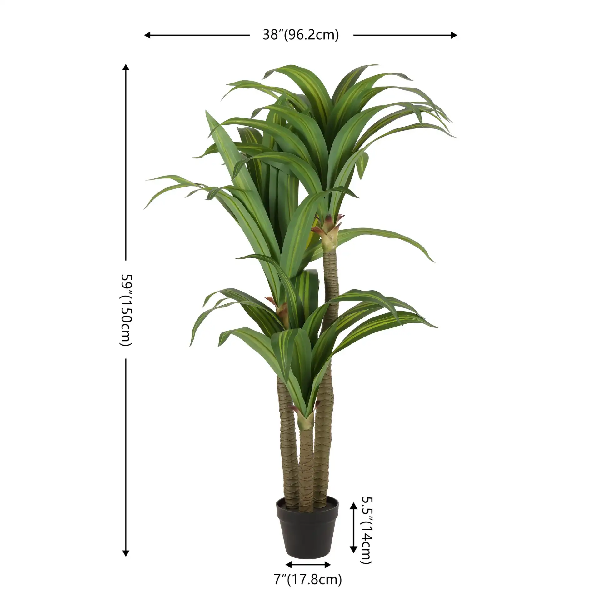 Faux 59'' Dracaena Tree in Green / Black, detail view