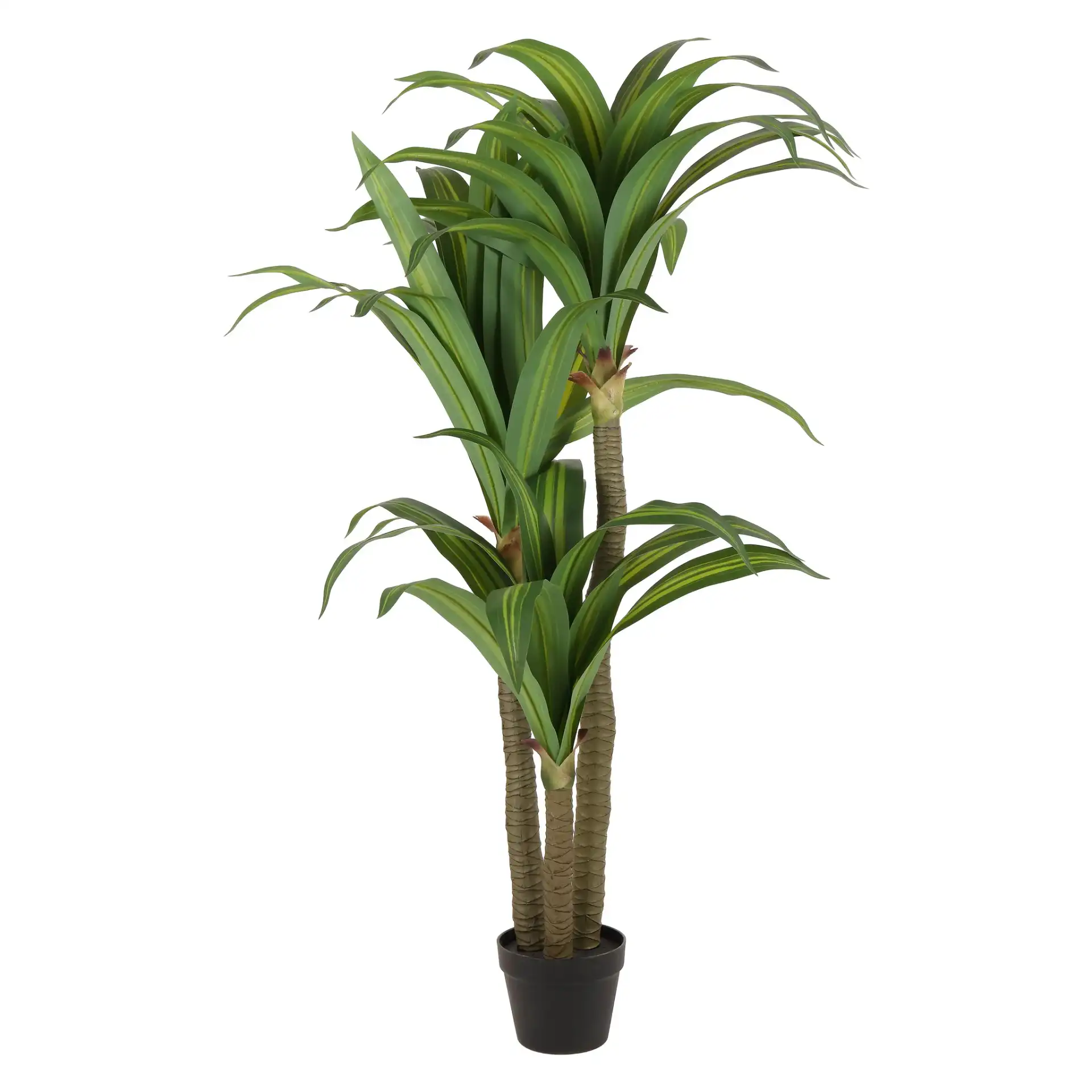 Faux 59'' Dracaena Tree in Green / Black