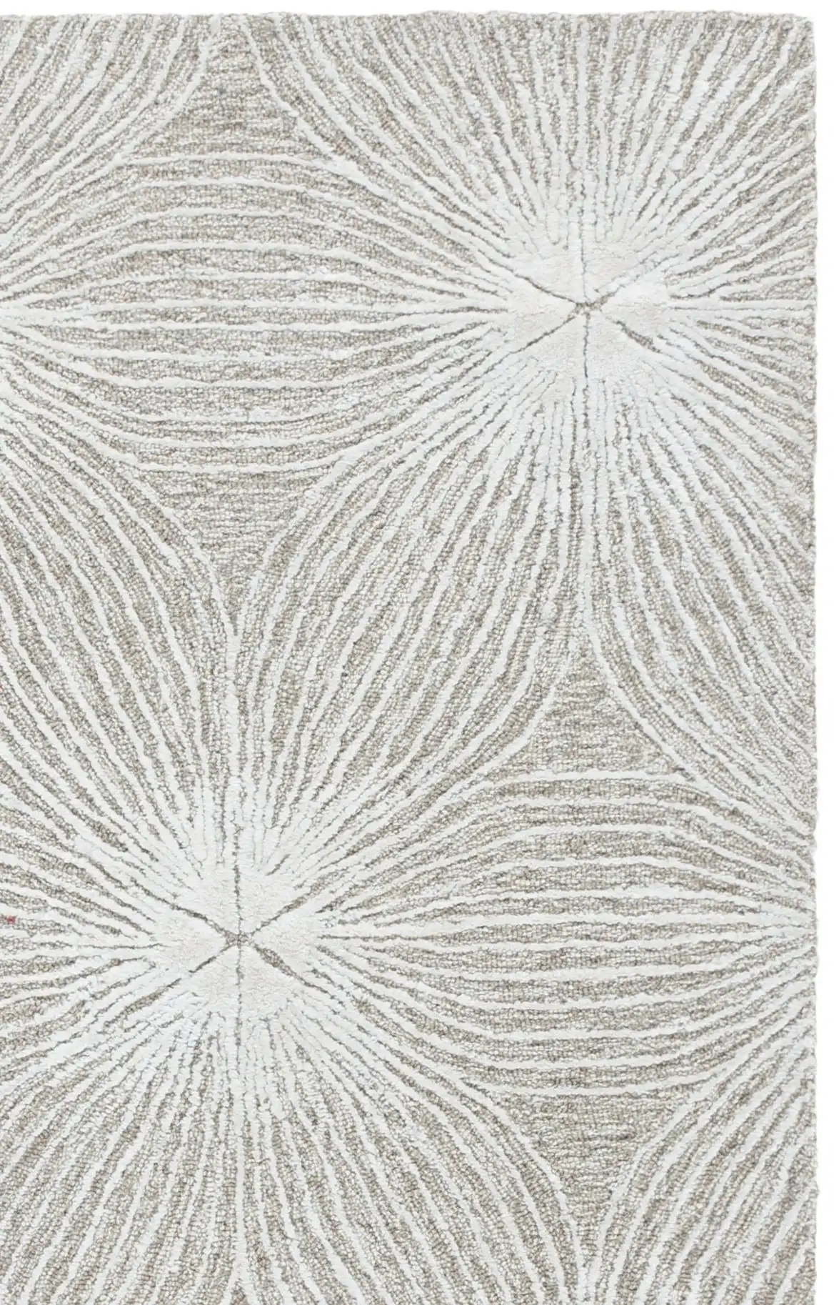 Beige / Ivory