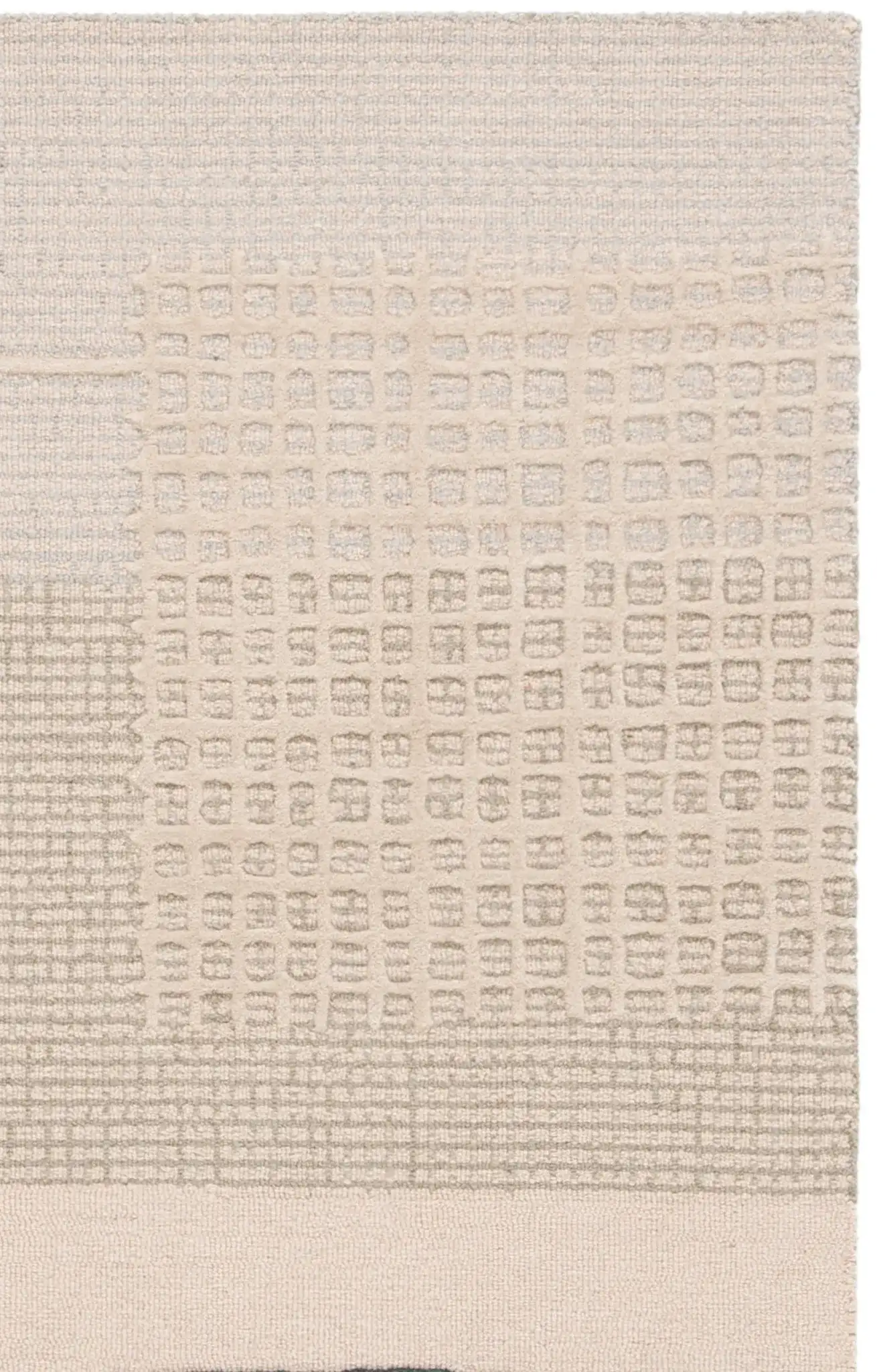 Beige / Gray