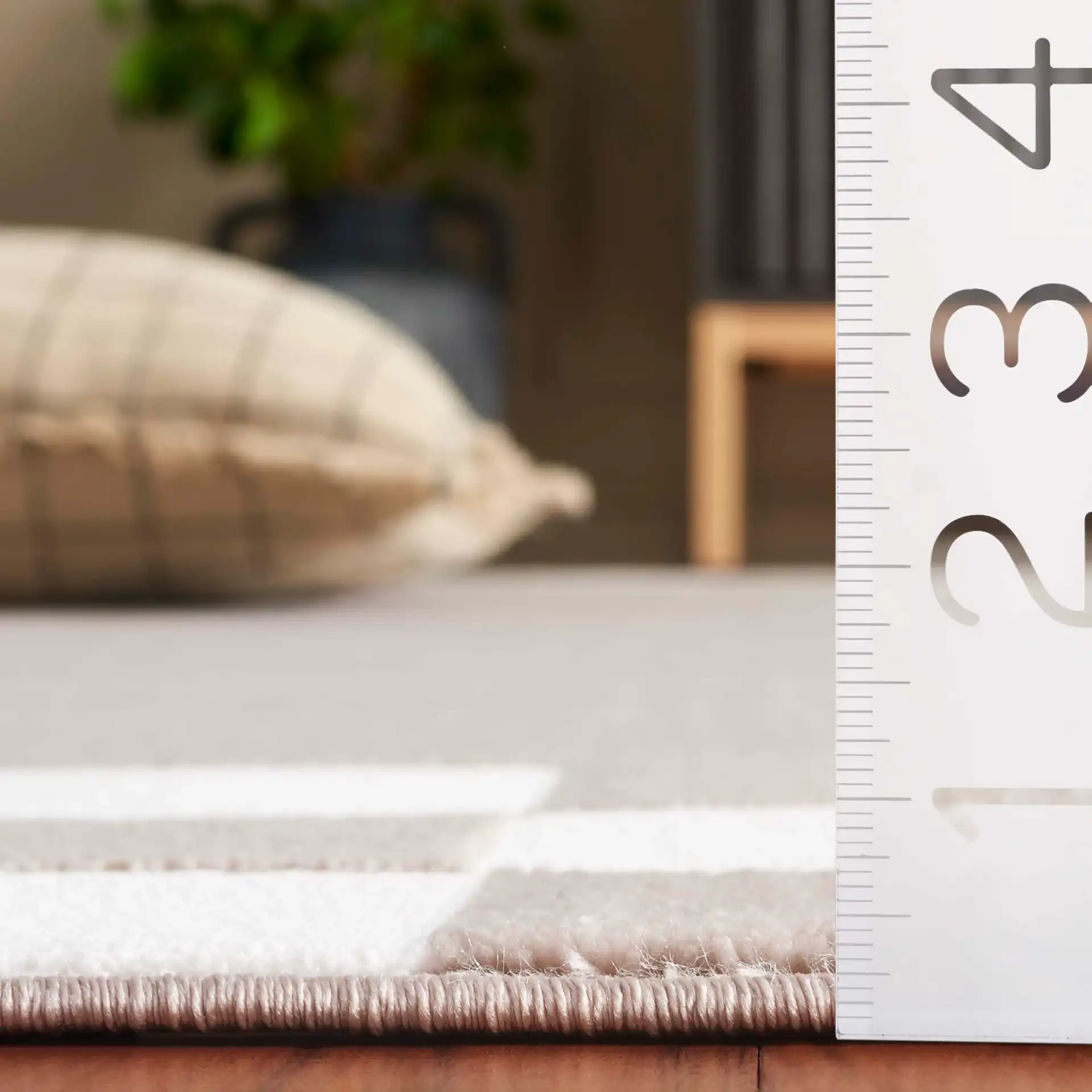 Groove Checkerboard Border Rug in Beige / Ivory in a styled room