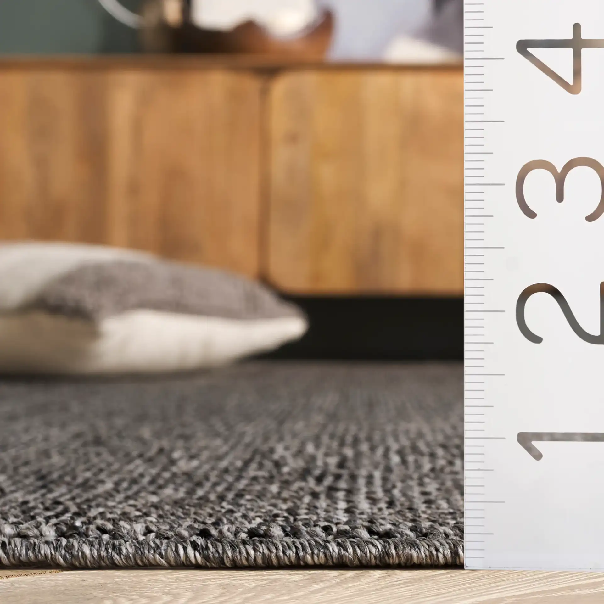Highland Plain Modern Solid Rug in Charcoal / Gray in a styled room