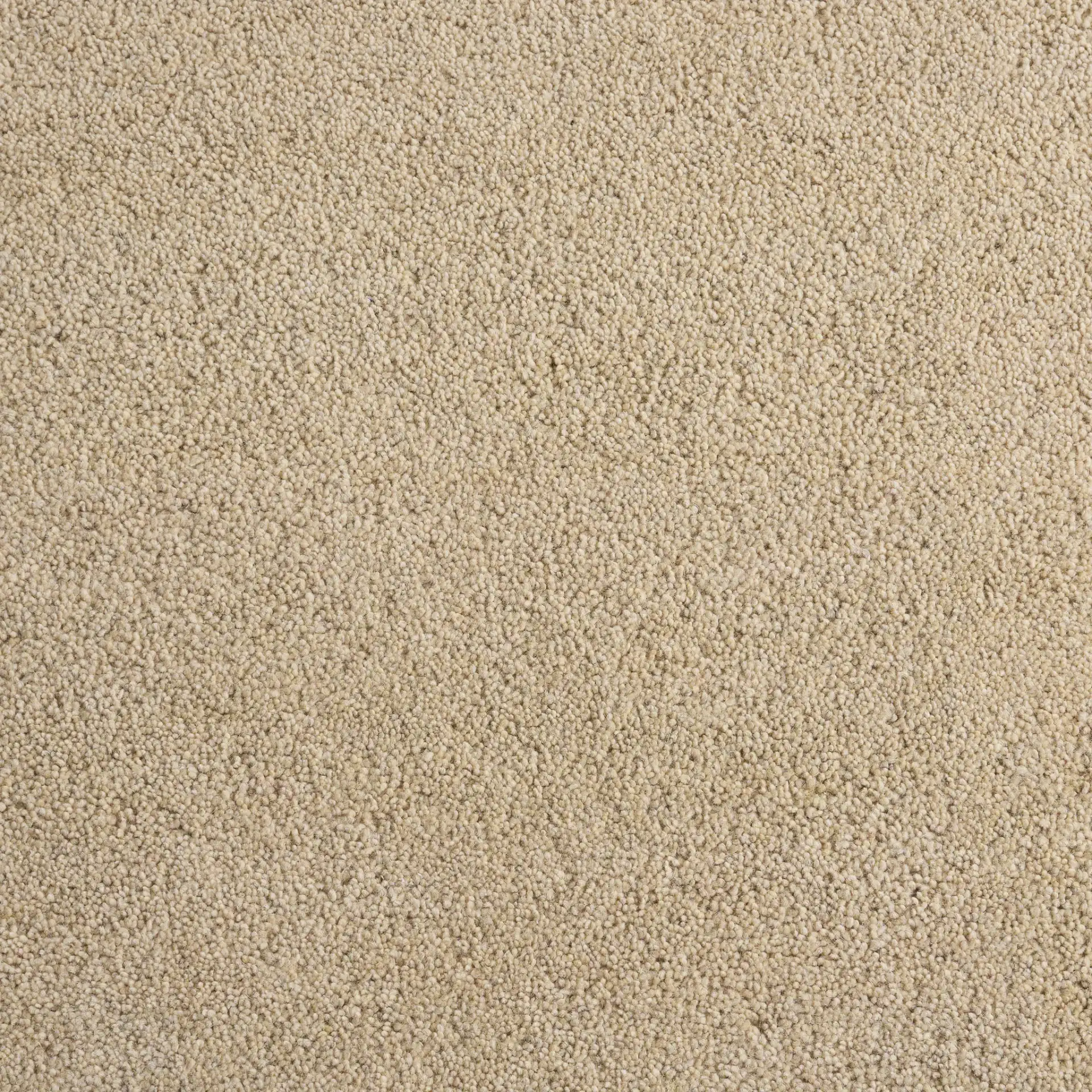 Himalaya Solid Hand-Tufted Wool Rug in Beige in a styled room