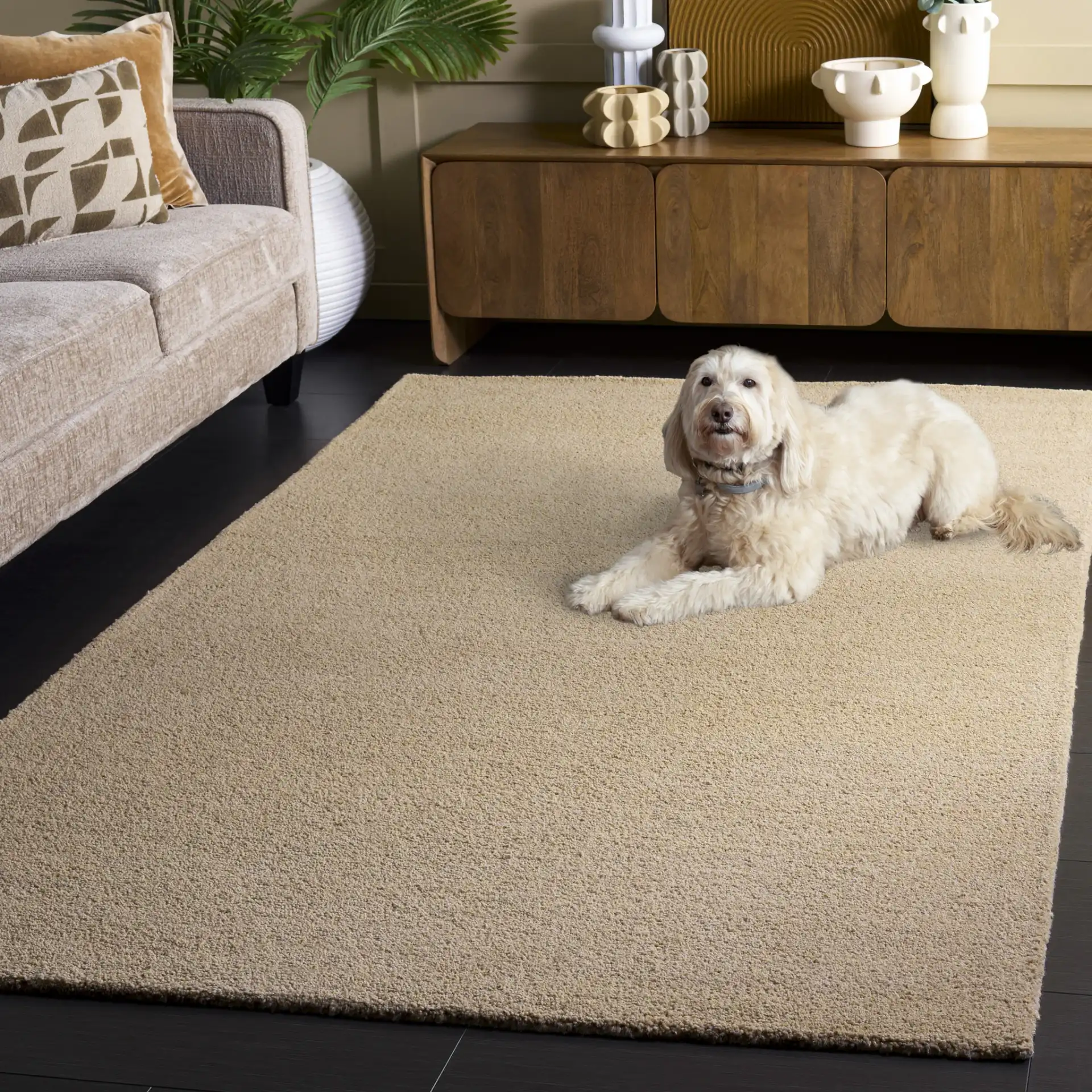 Himalaya Solid Hand-Tufted Wool Rug in Beige in a styled room