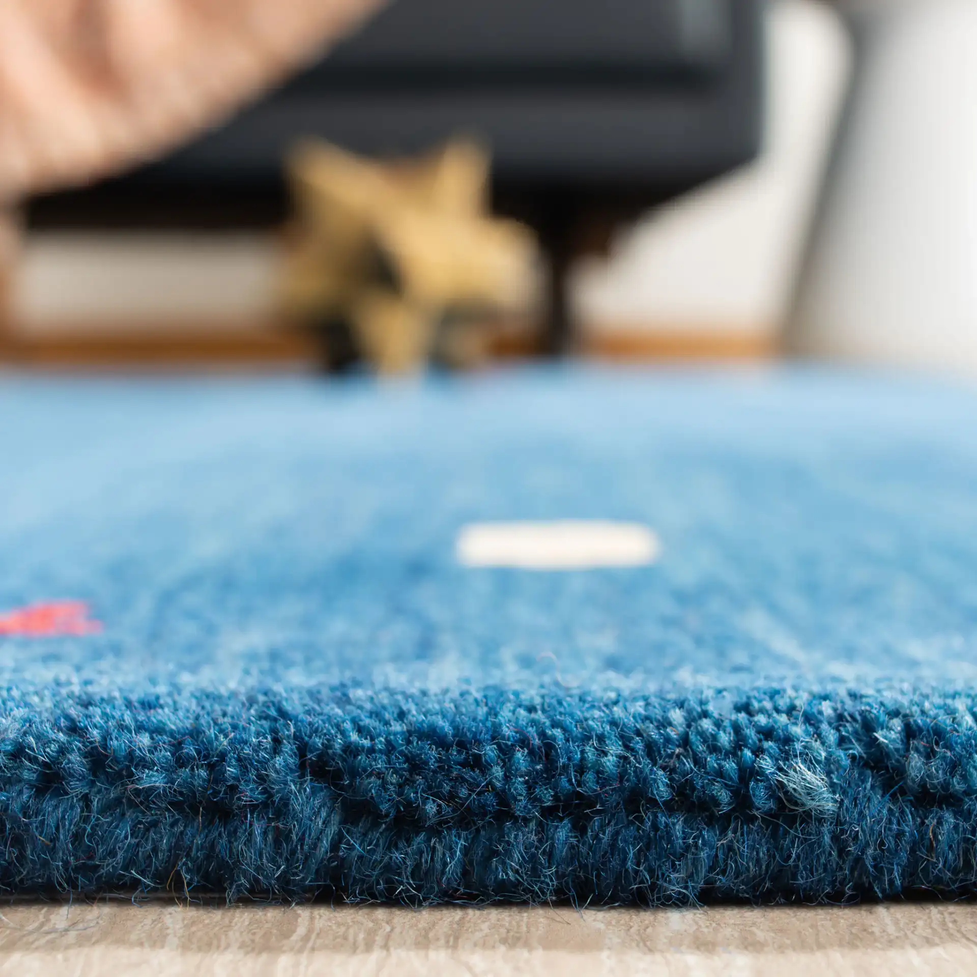 Himalaya Tribal Border Hand-Loomed Wool Rug in Blue in a styled room