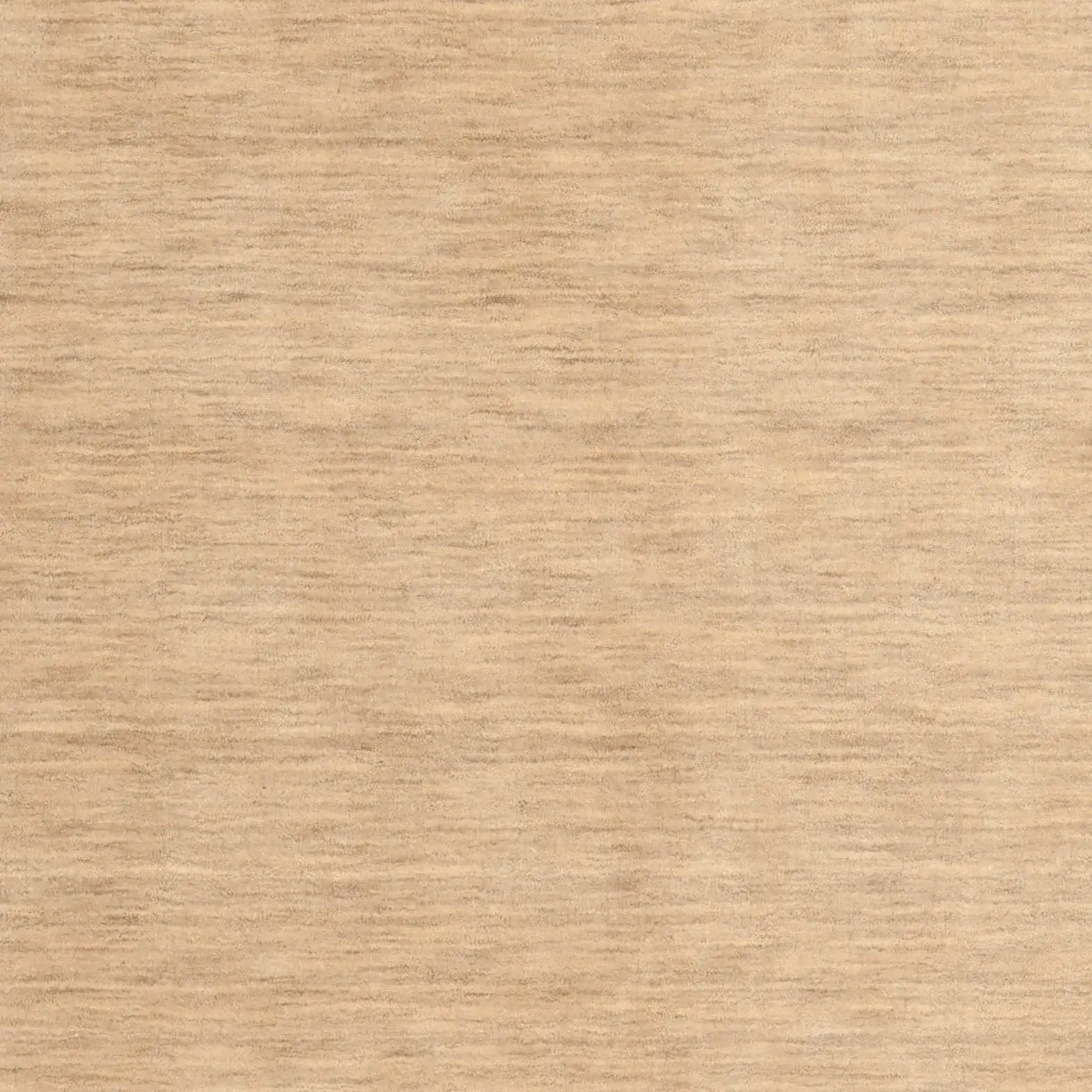 Himalaya Solid Bordered Hand-Loomed Wool Rug in Beige / Dark Brown in a styled room
