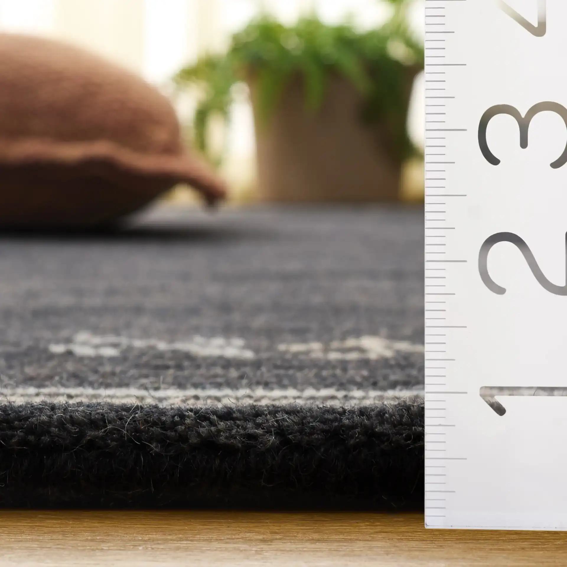 Himalaya Bordered Hand-Loomed Wool Rug in Charcoal in a styled room