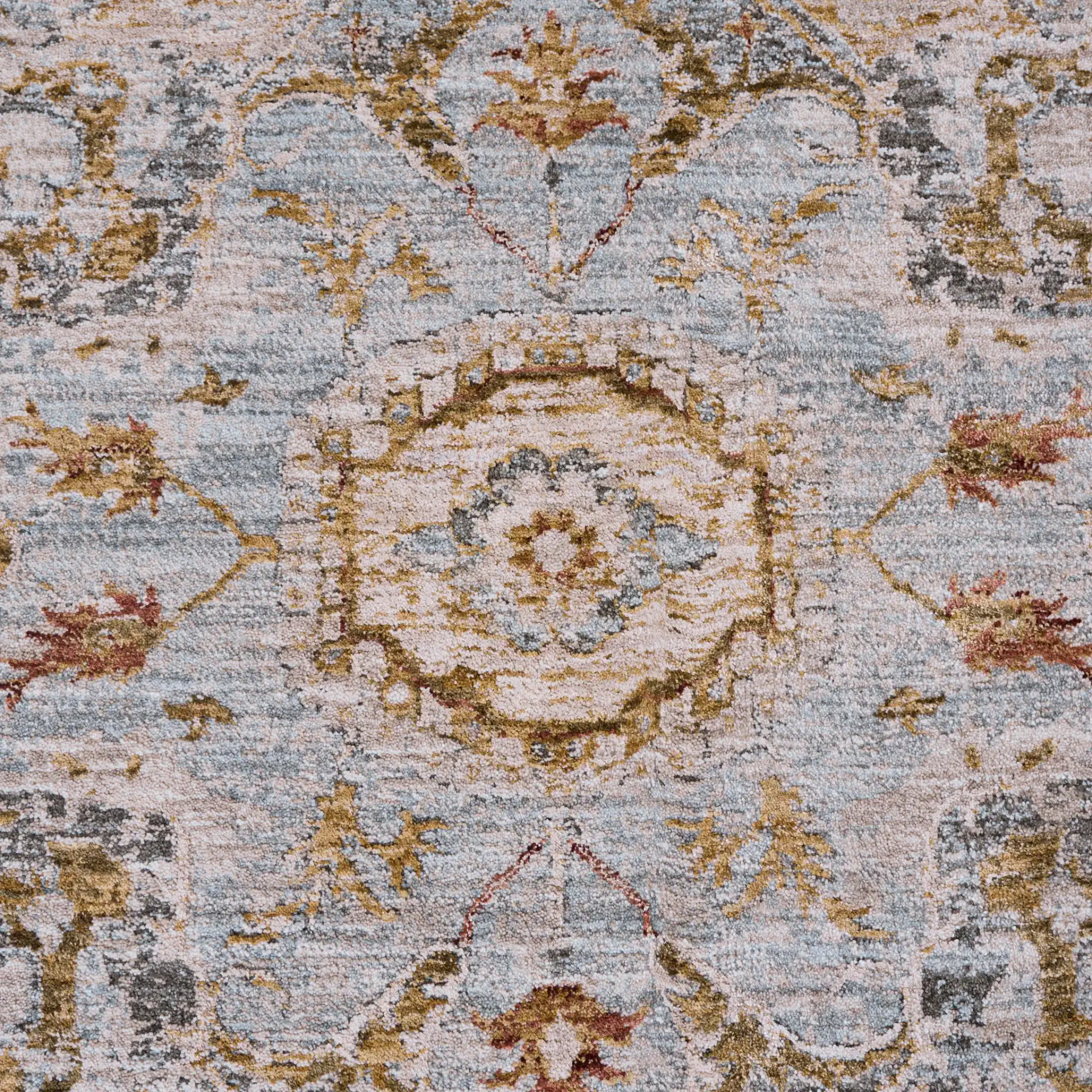 Hamilton Medallion Bordered Rug in Ivory / Blue in a styled room