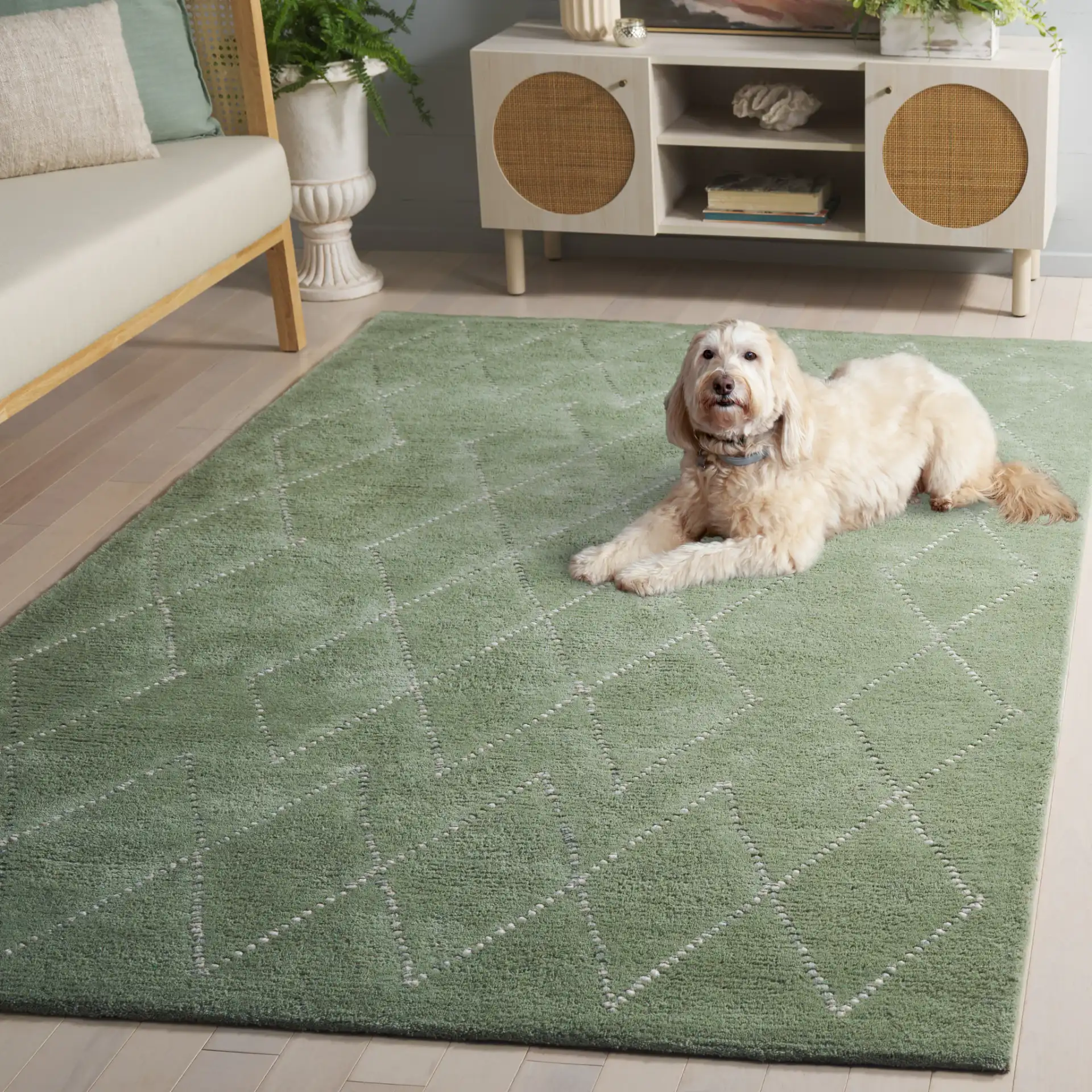 Harvest Diamond Lattice Hand-Tufted Wool Rug in Sage / Ivory in a styled room