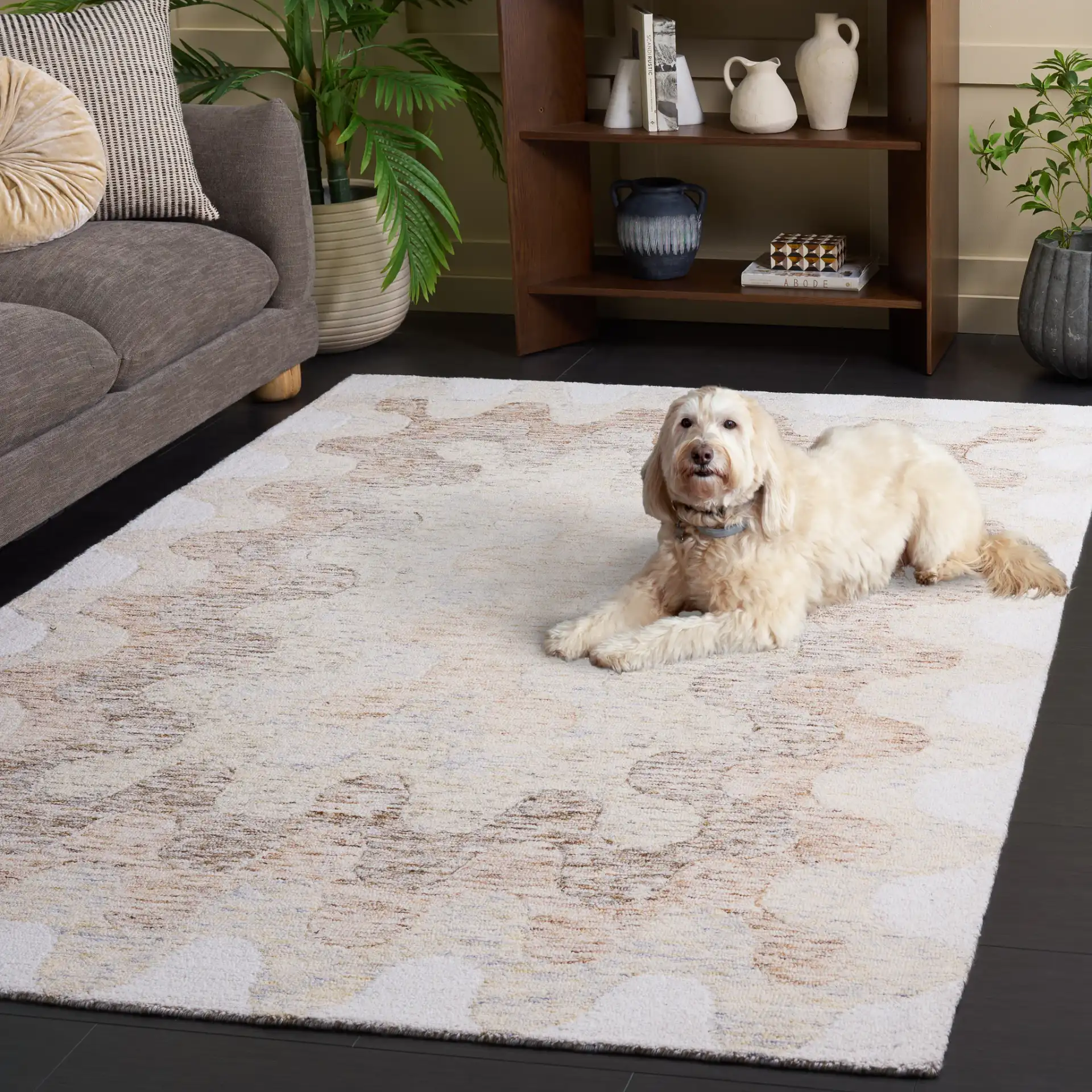 Harvest Scalloped Border Hand-Tufted Wool Rug in Beige / Brown in a styled room