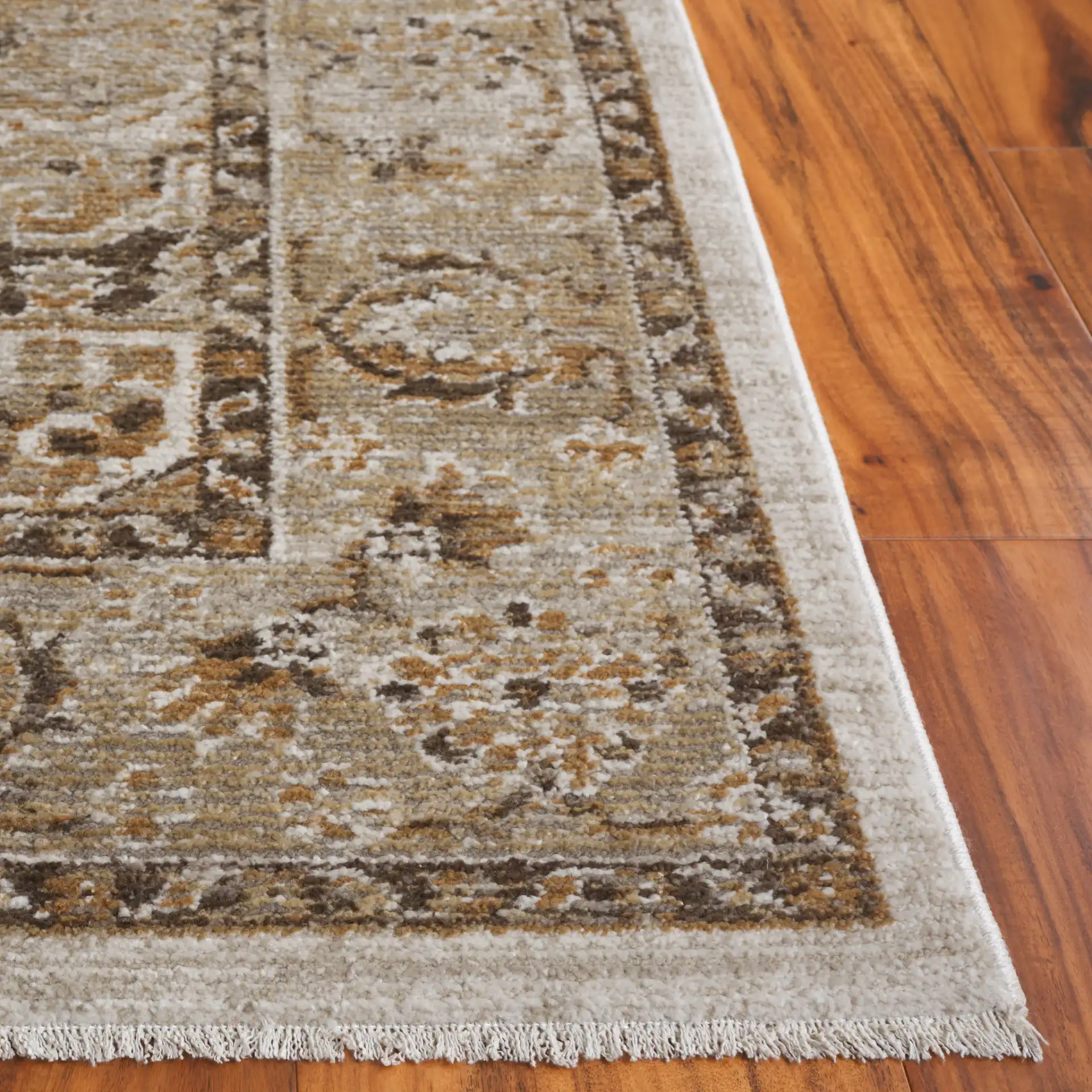 Hazel Medallion Bordered Rug in Beige / Brown in a styled room
