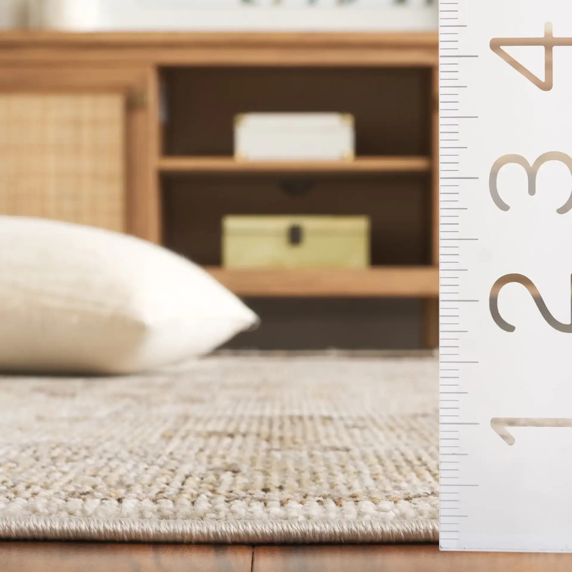 Hazel Medallion Bordered Rug in Beige / Brown in a styled room