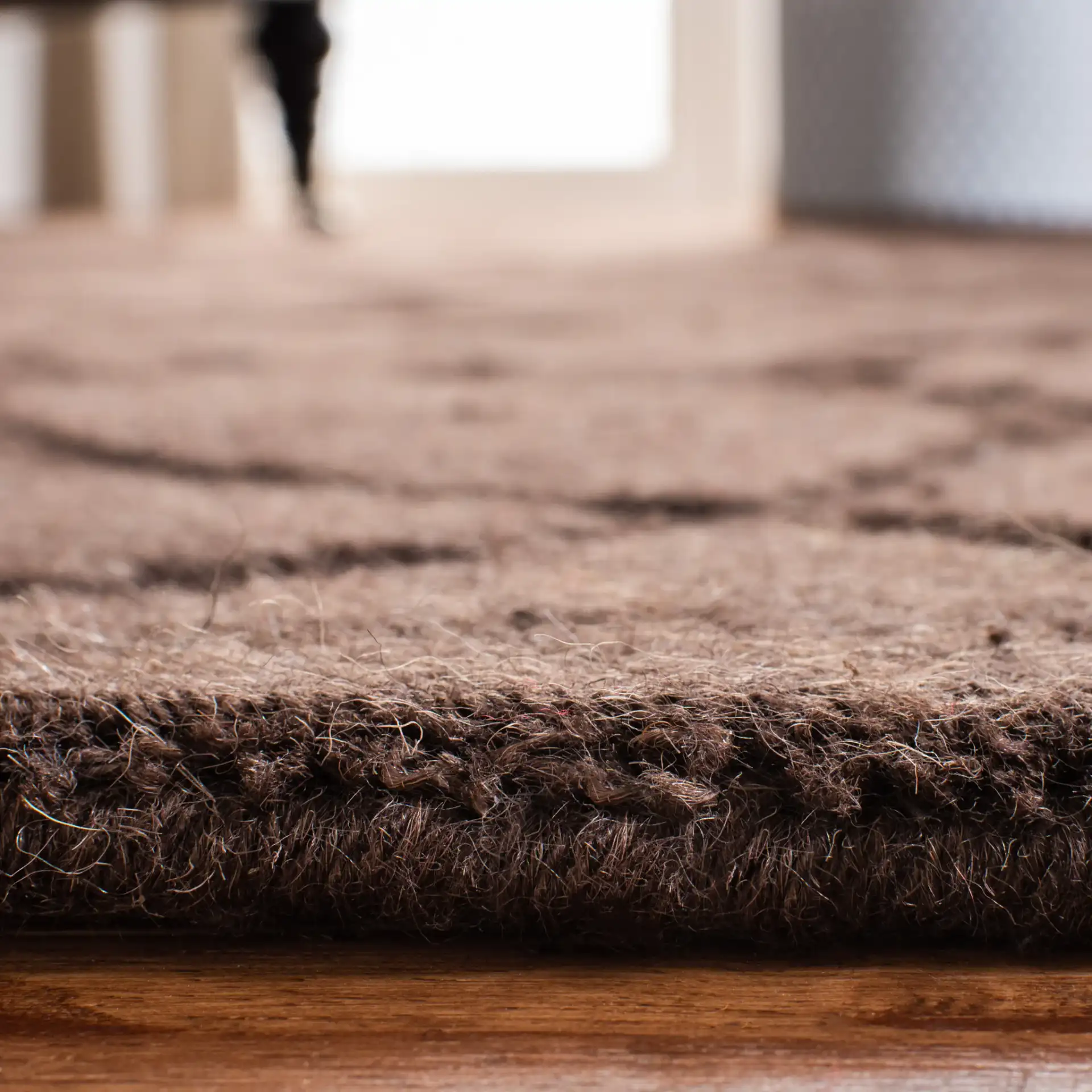 Impressions Scroll Hand-Loomed Wool Rug in Brown in a styled room