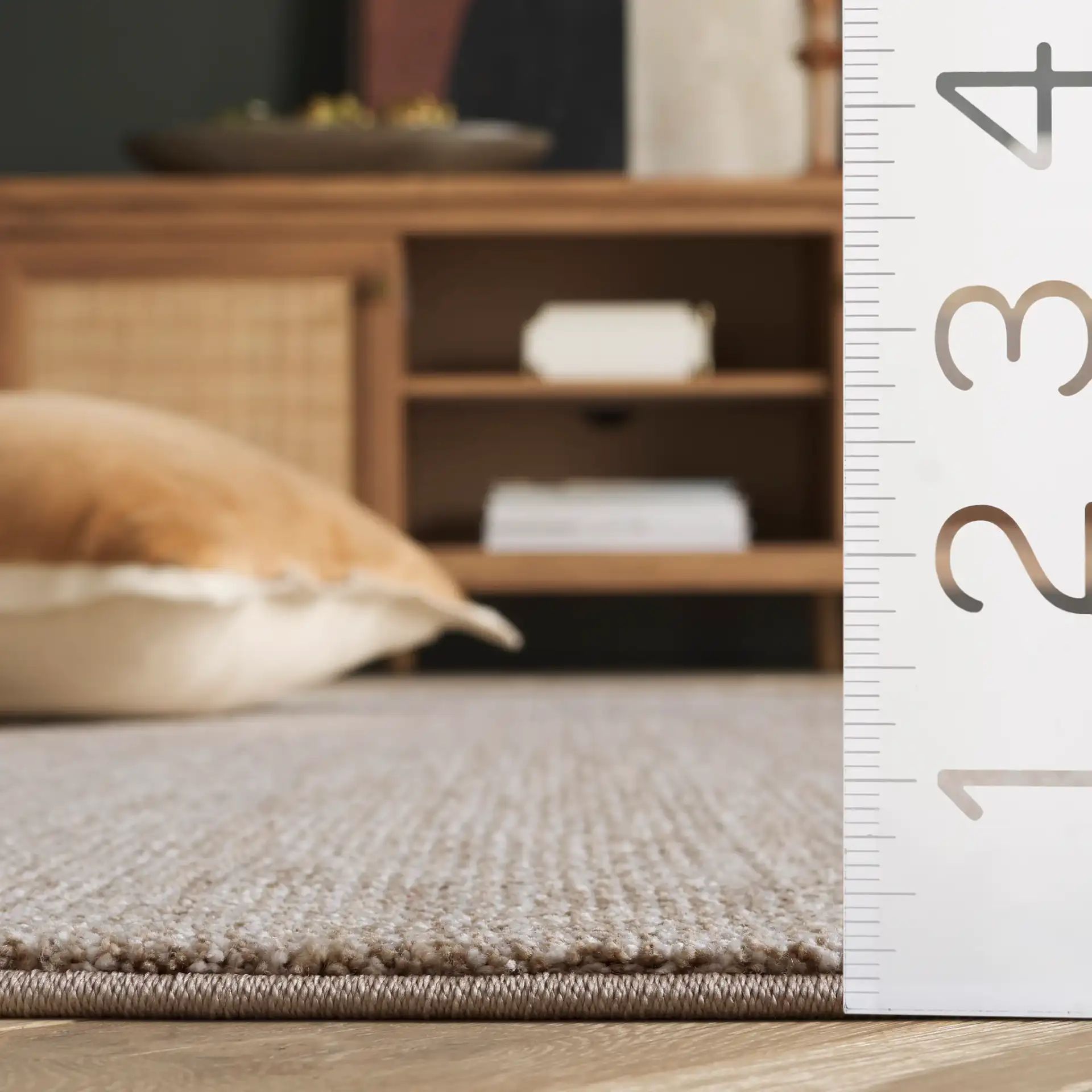 Lasa Textured Solid Rug in Beige in a styled room