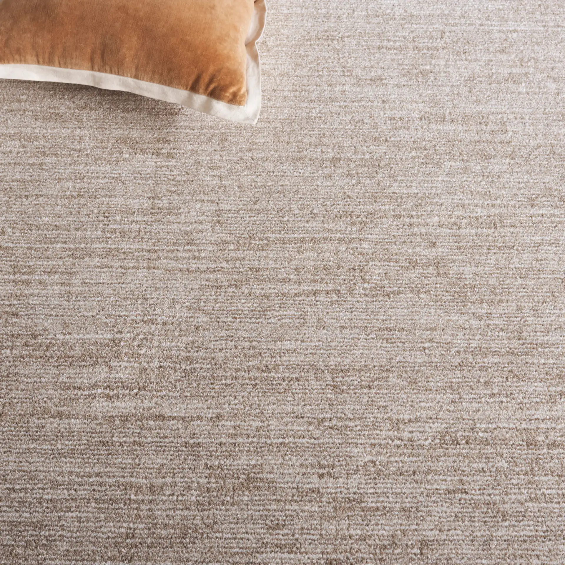 Lasa Textured Solid Rug in Beige in a styled room
