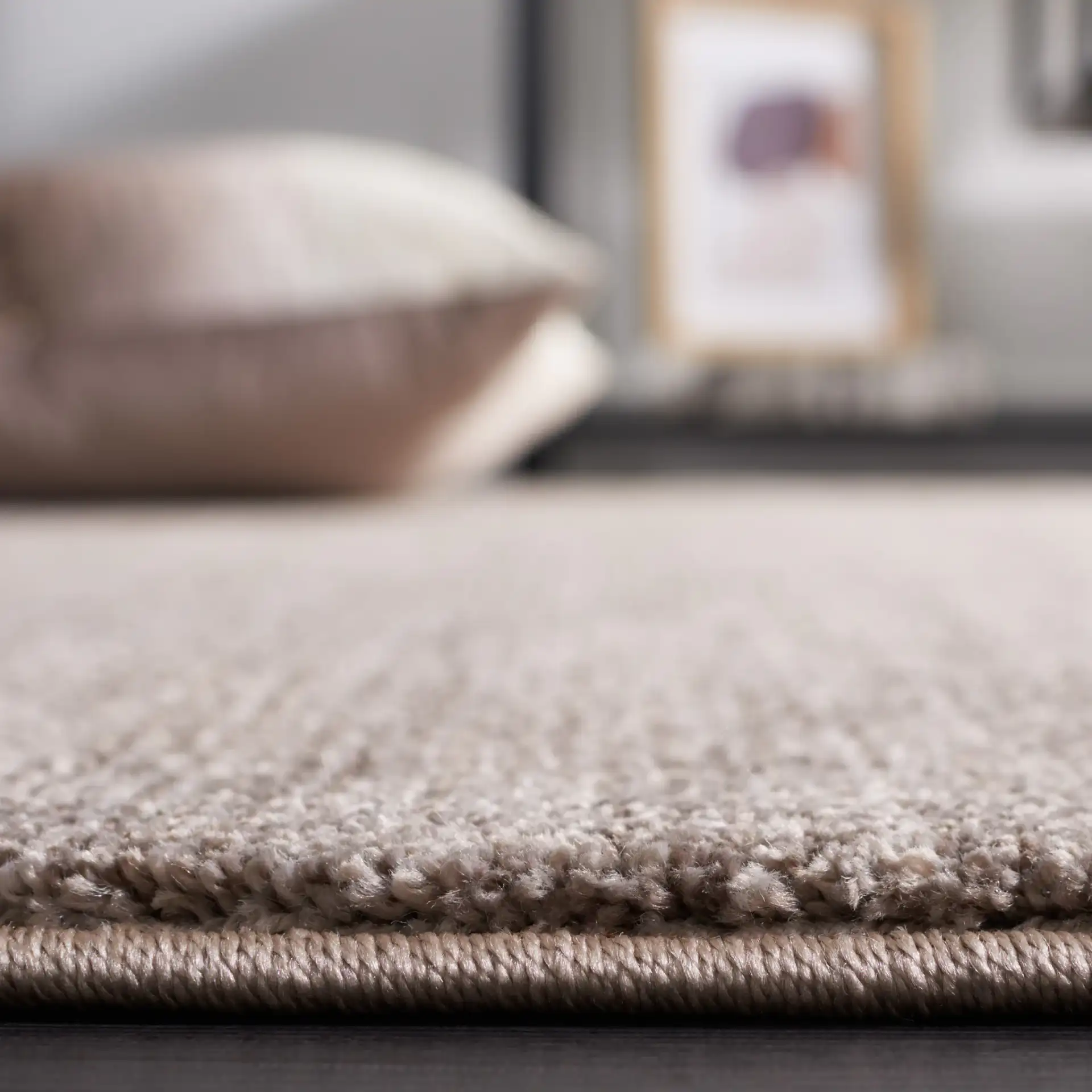 Lasa Solid Fringe Rug in Gray in a styled room