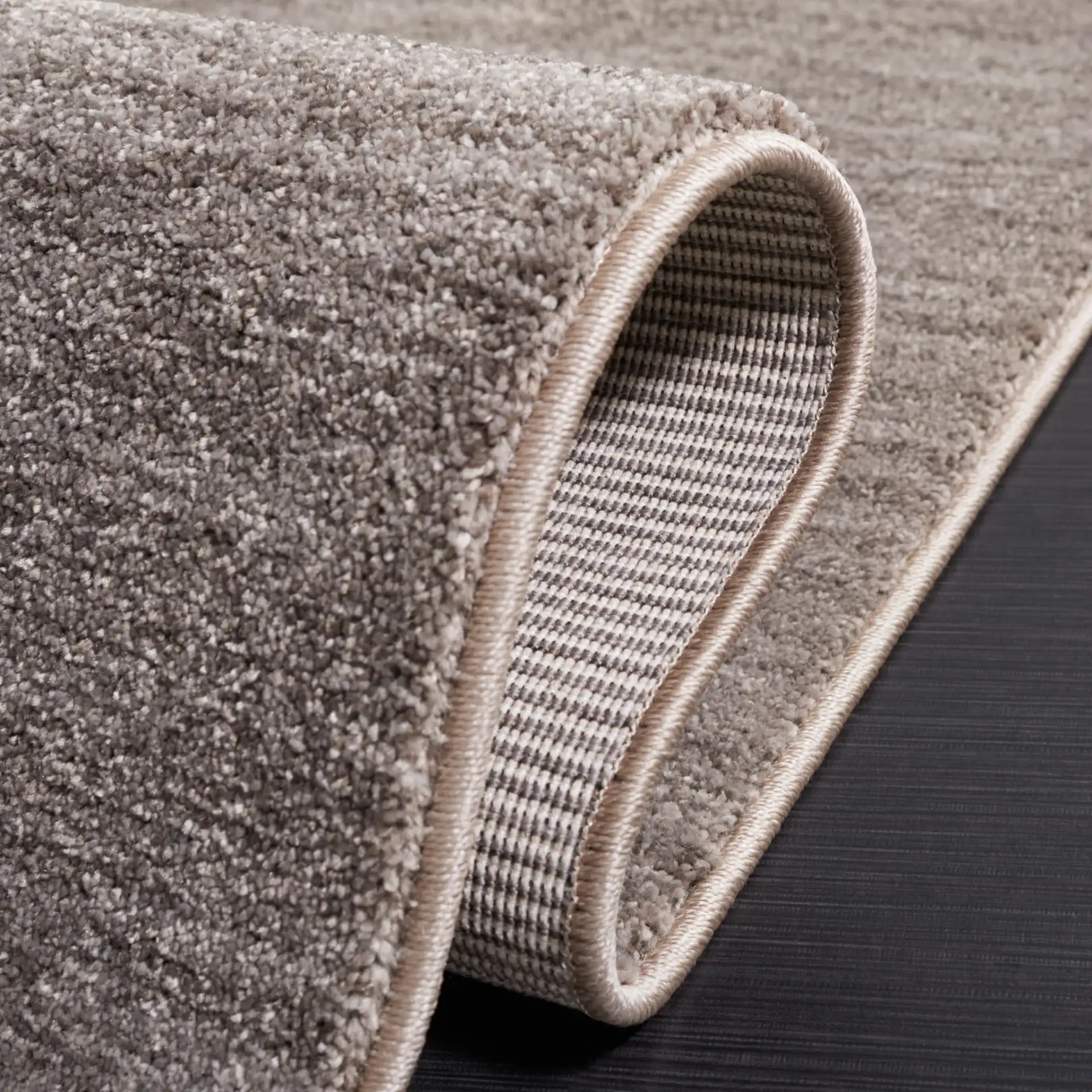 Lasa Solid Fringe Rug in Gray in a styled room