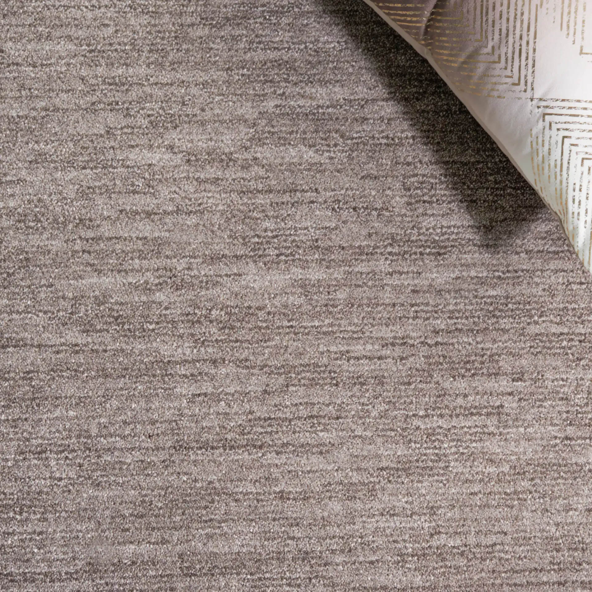 Lasa Solid Fringe Rug in Gray in a styled room