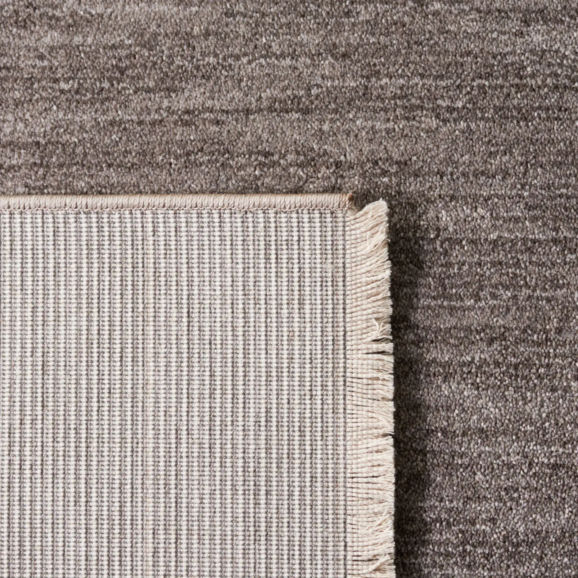 Lasa Solid Fringe Rug in Gray in a styled room