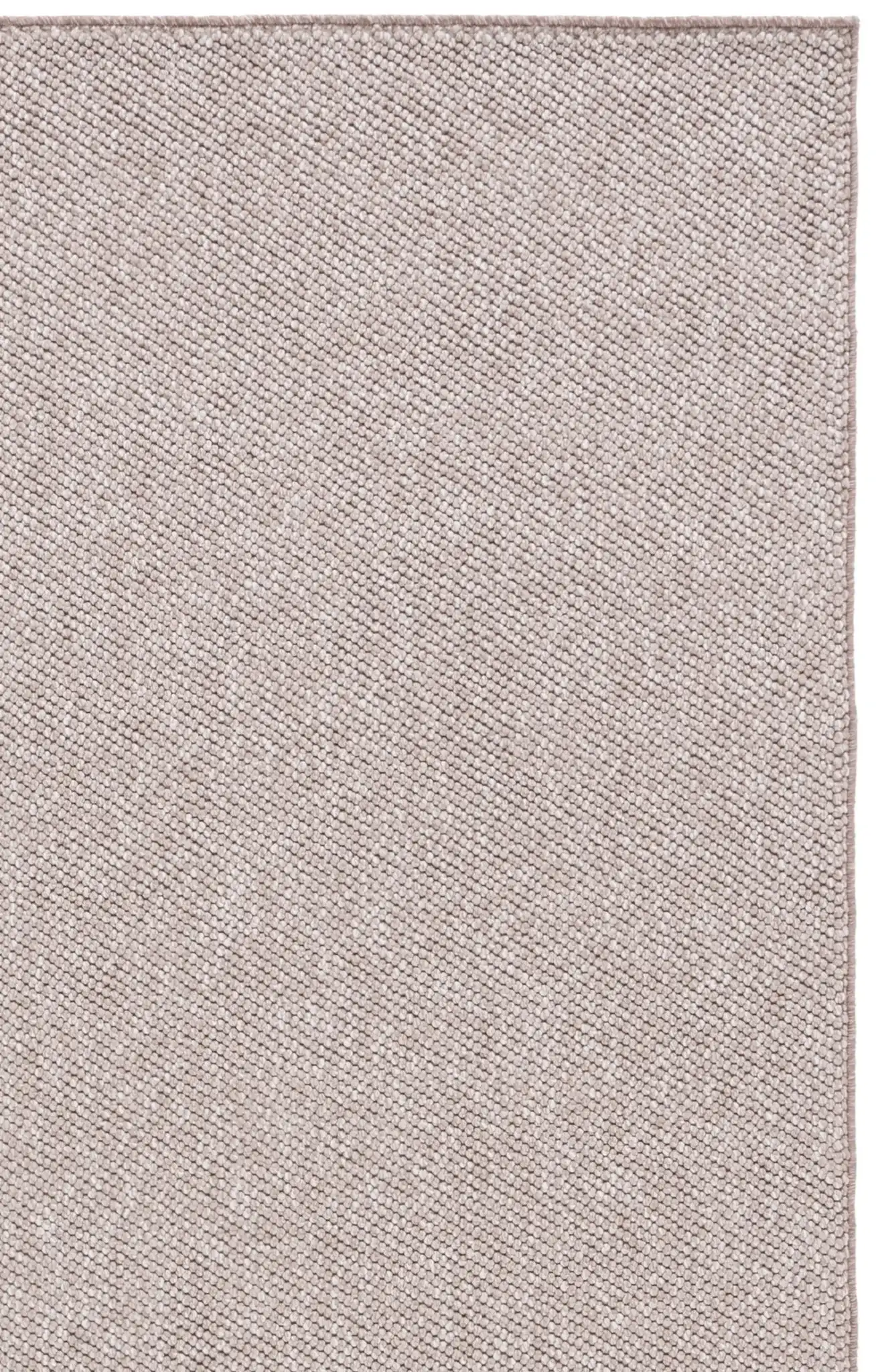 Beige / Ivory