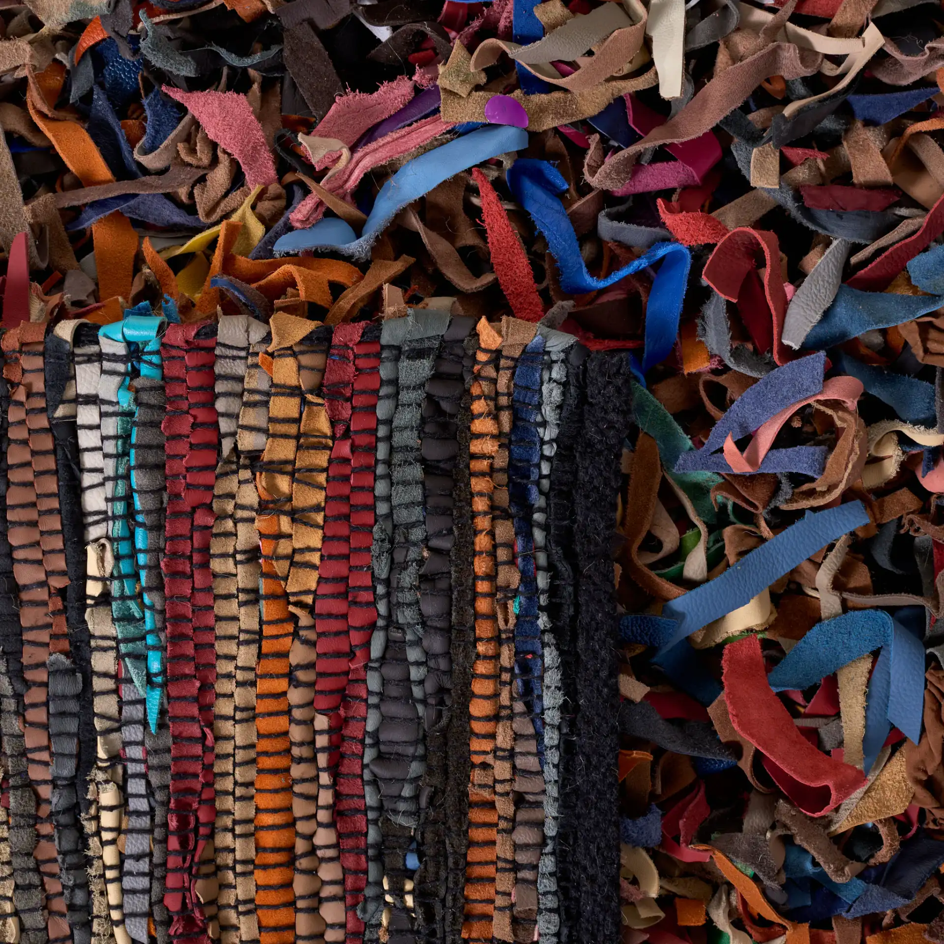 Leather Shag Solid Rug in Multicolor in a styled room