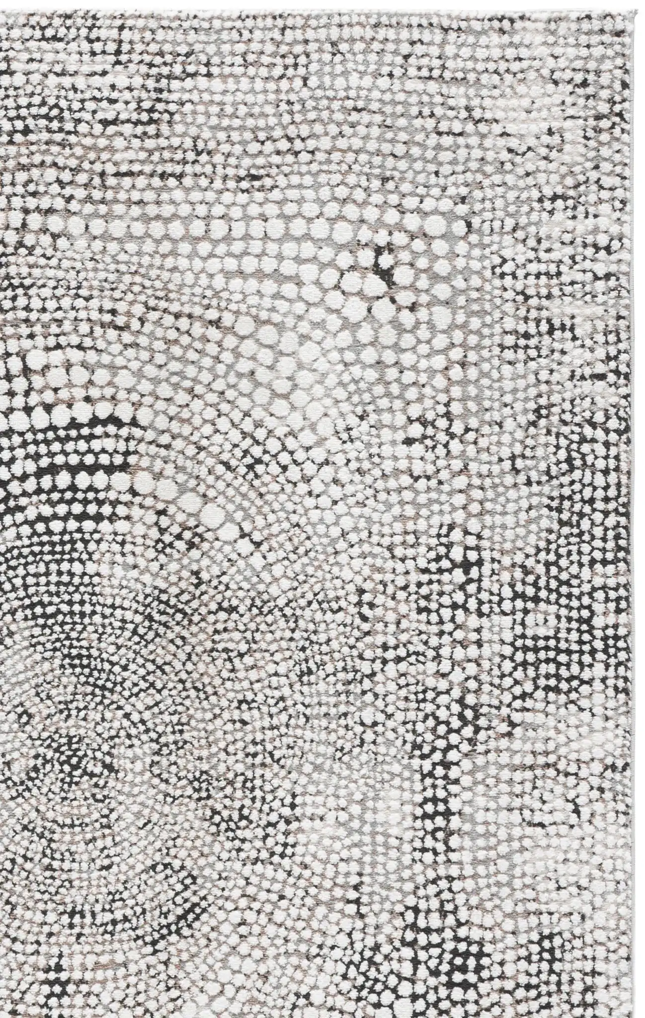 Charcoal / Ivory